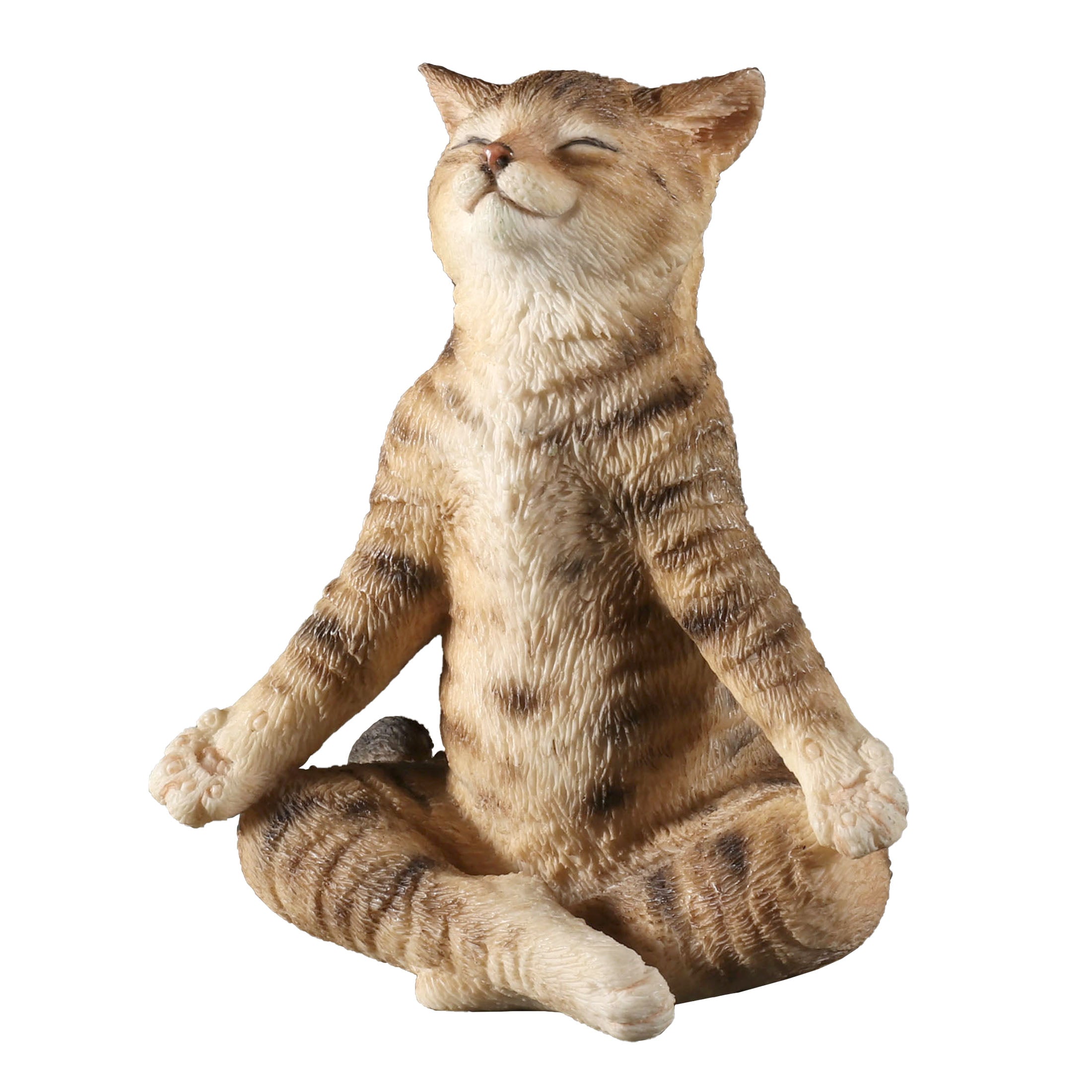 Brown Tabby Yoga Cat Lotus Pose