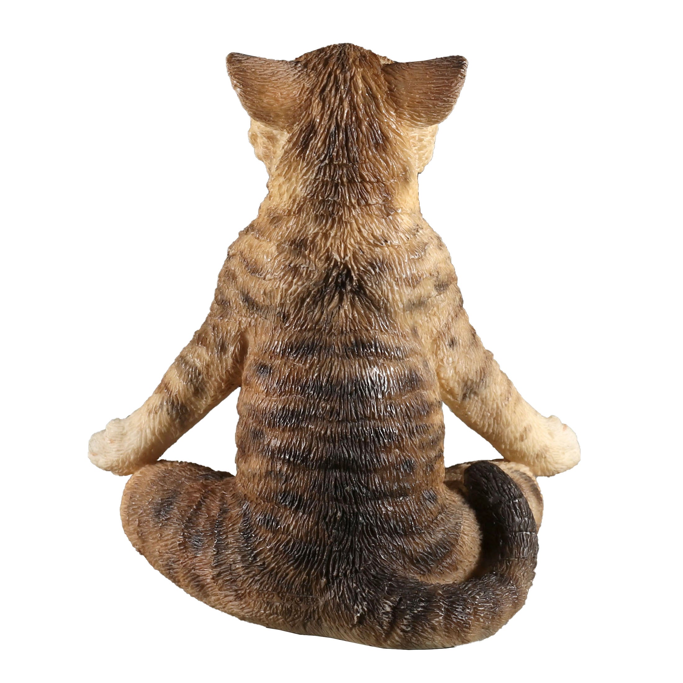 Brown Tabby Yoga Cat Lotus Pose