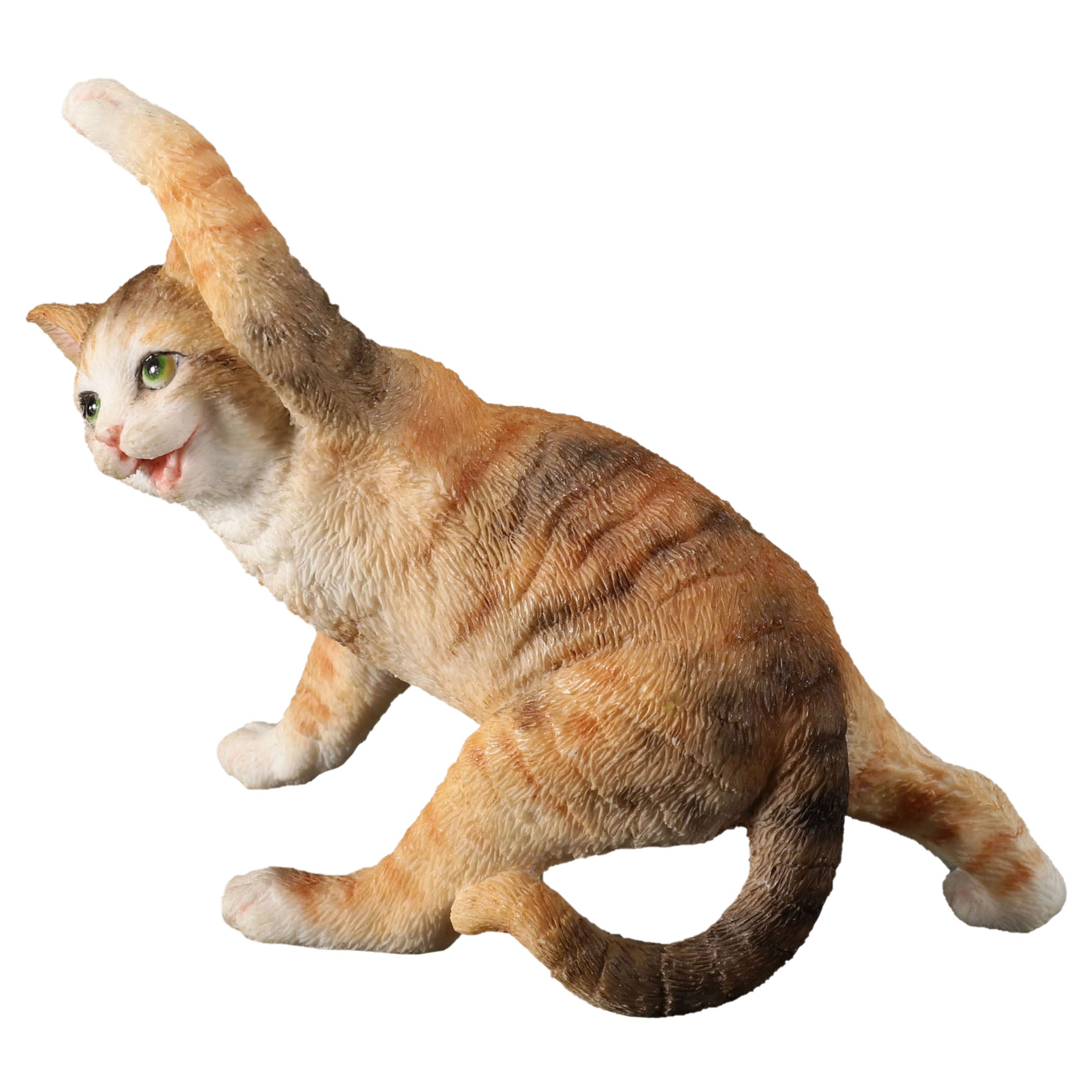 Yellow Tabby Yoga Cat Twist Pose