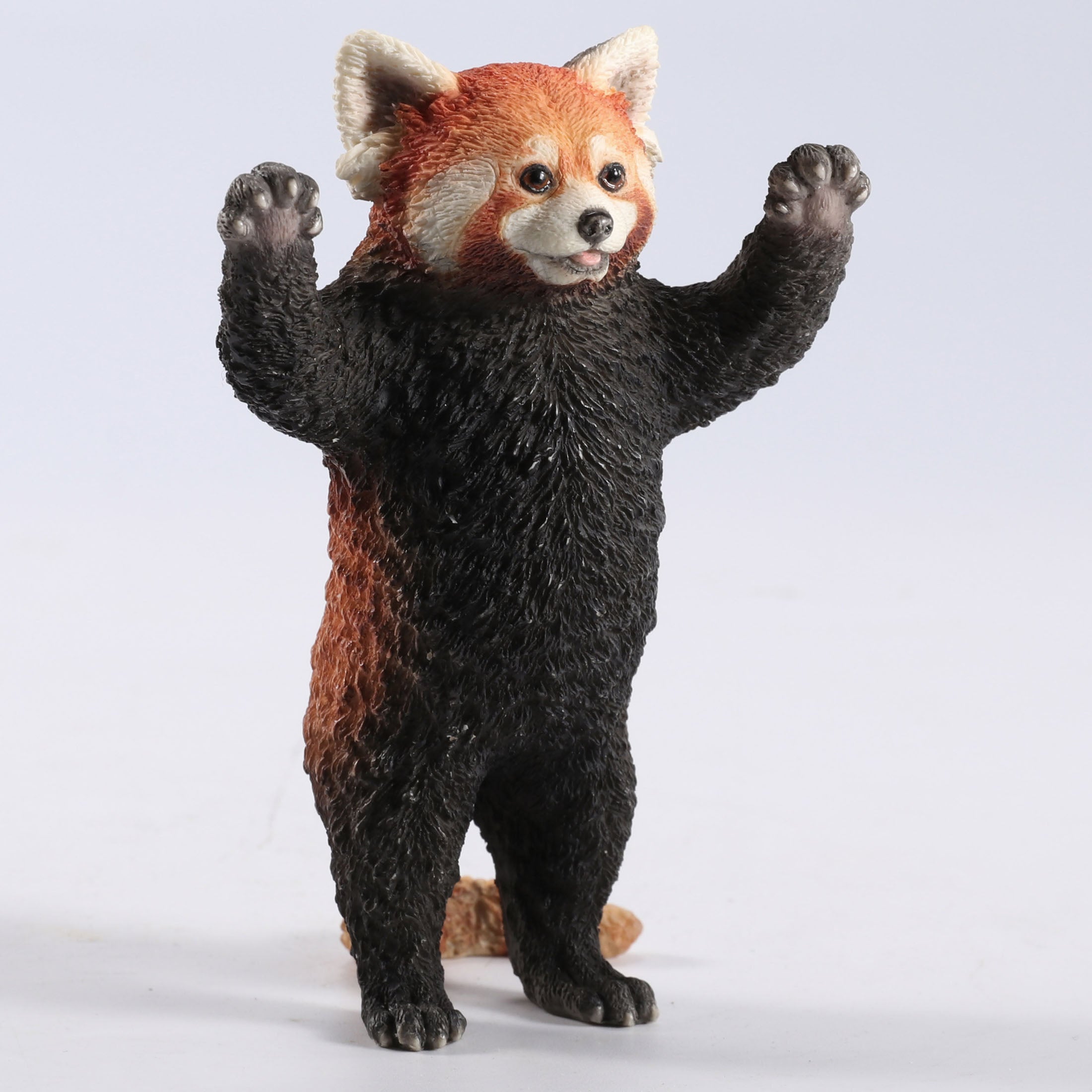 Red Panda Standing With Arms Up