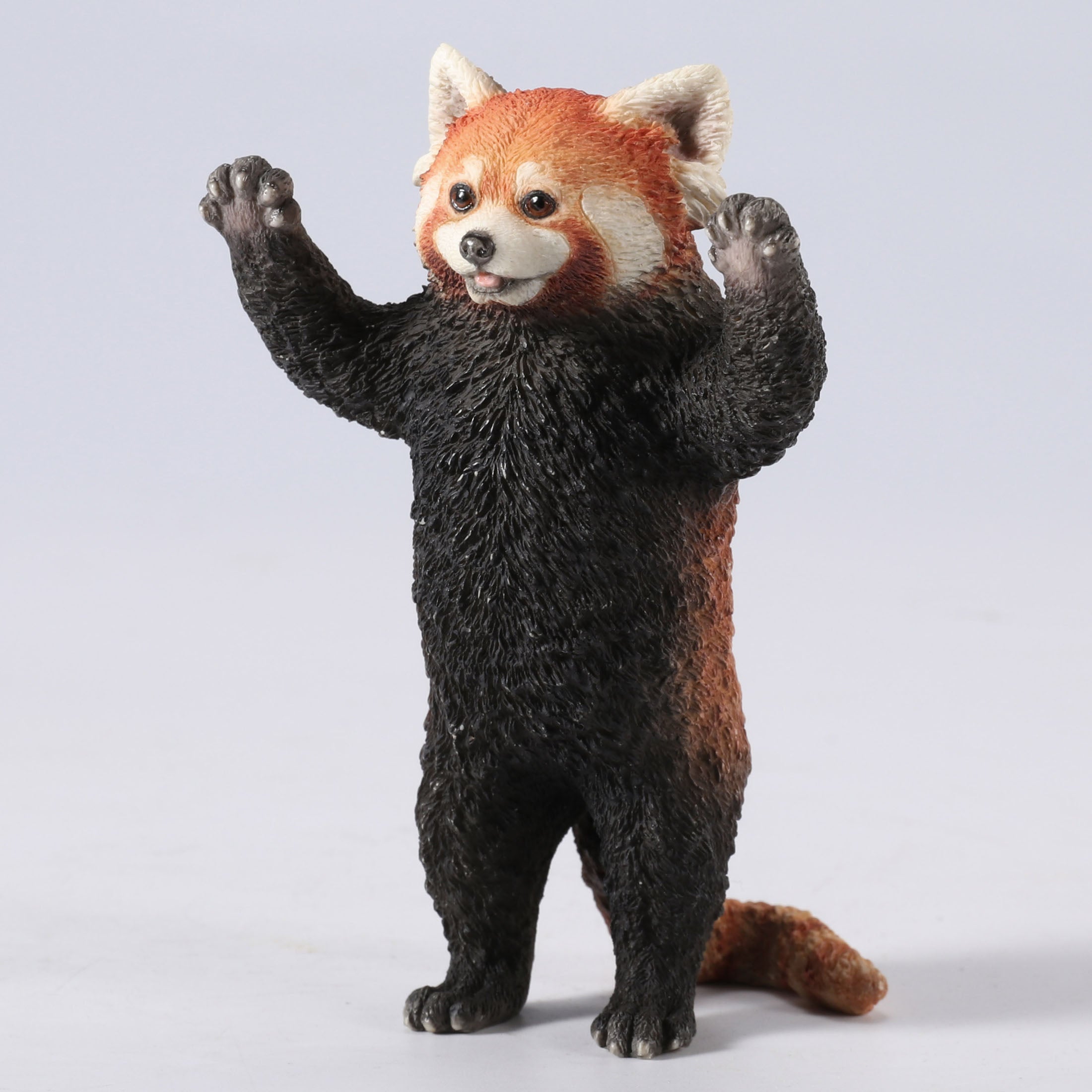 Red Panda Standing With Arms Up