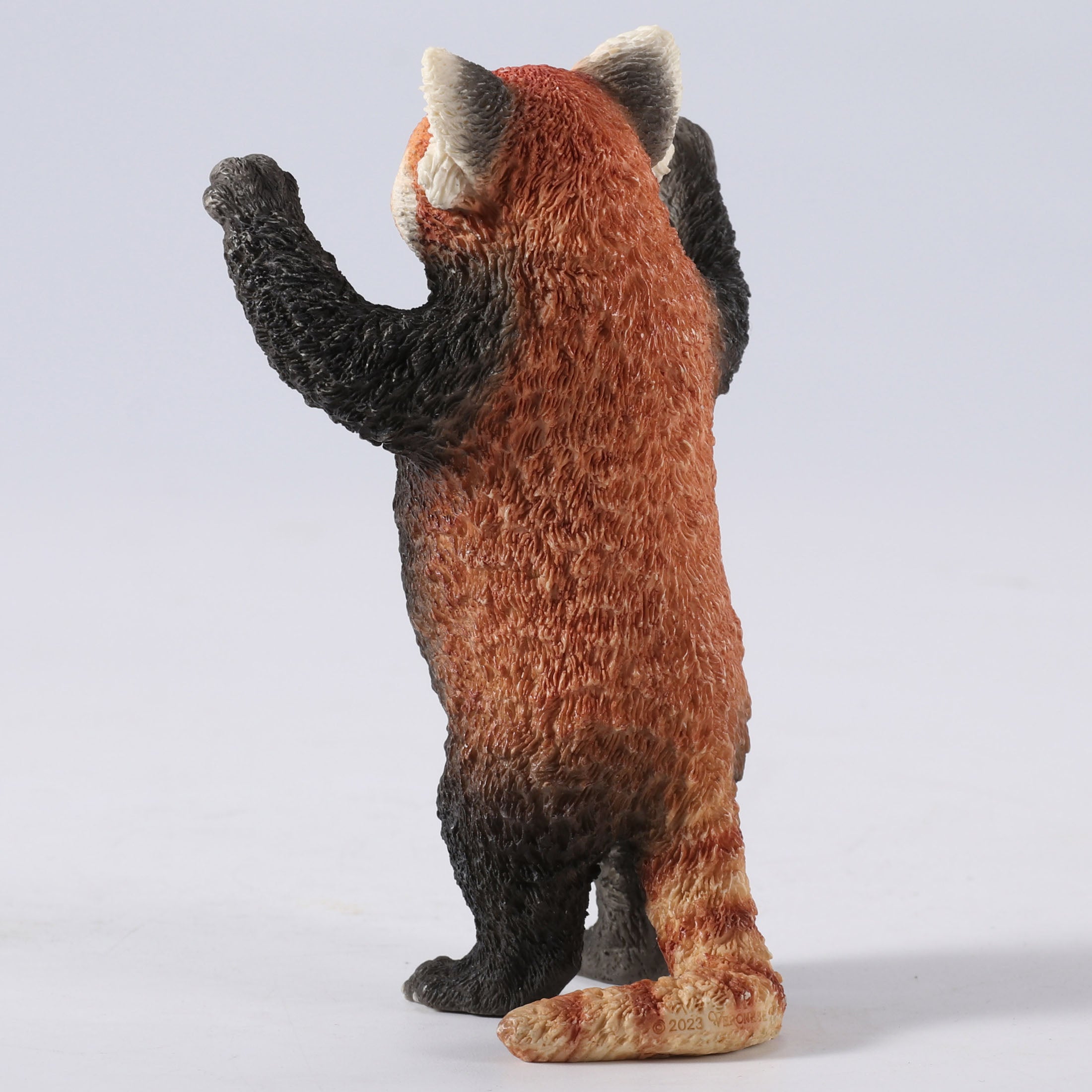 Red Panda Standing With Arms Up