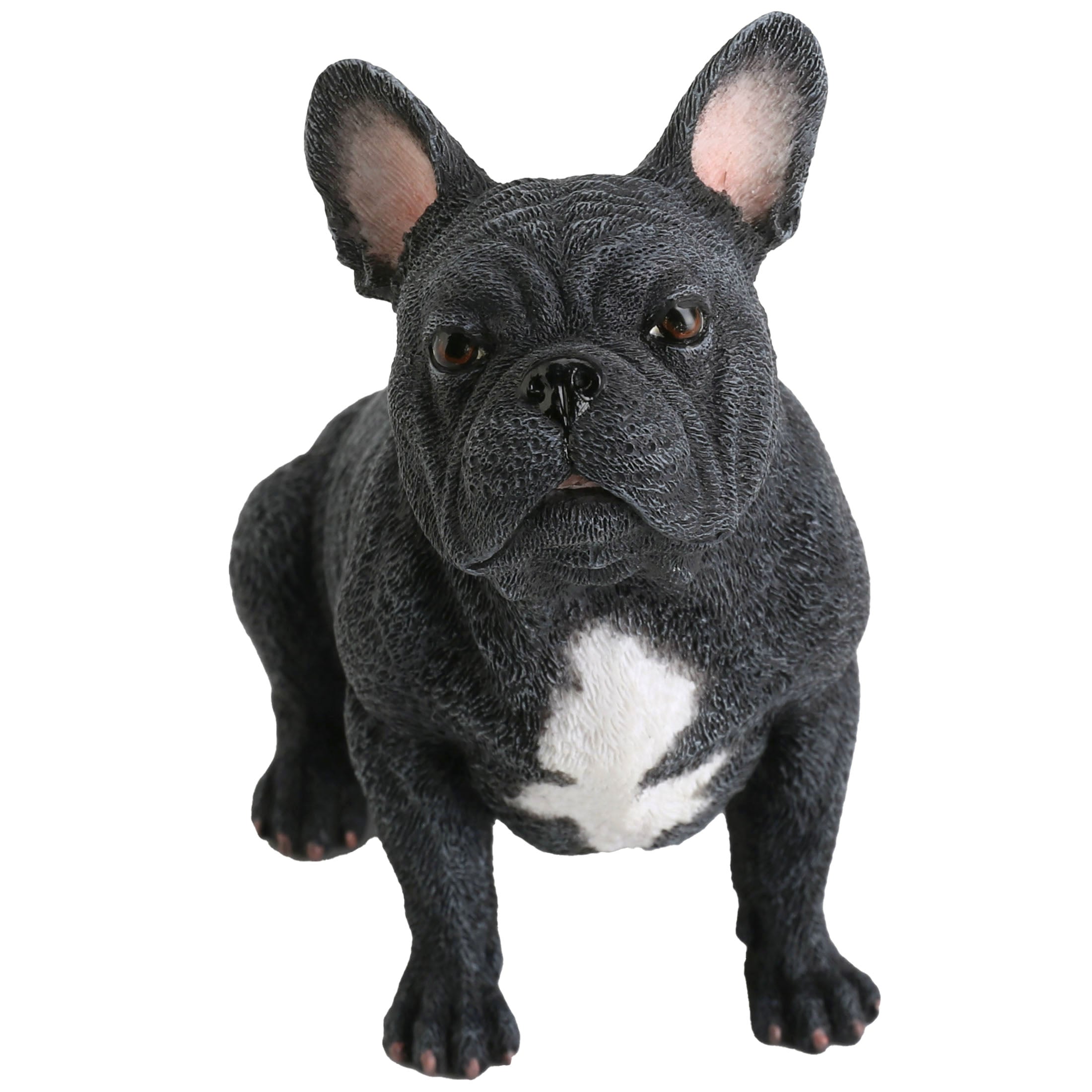 French Bulldog Sitting