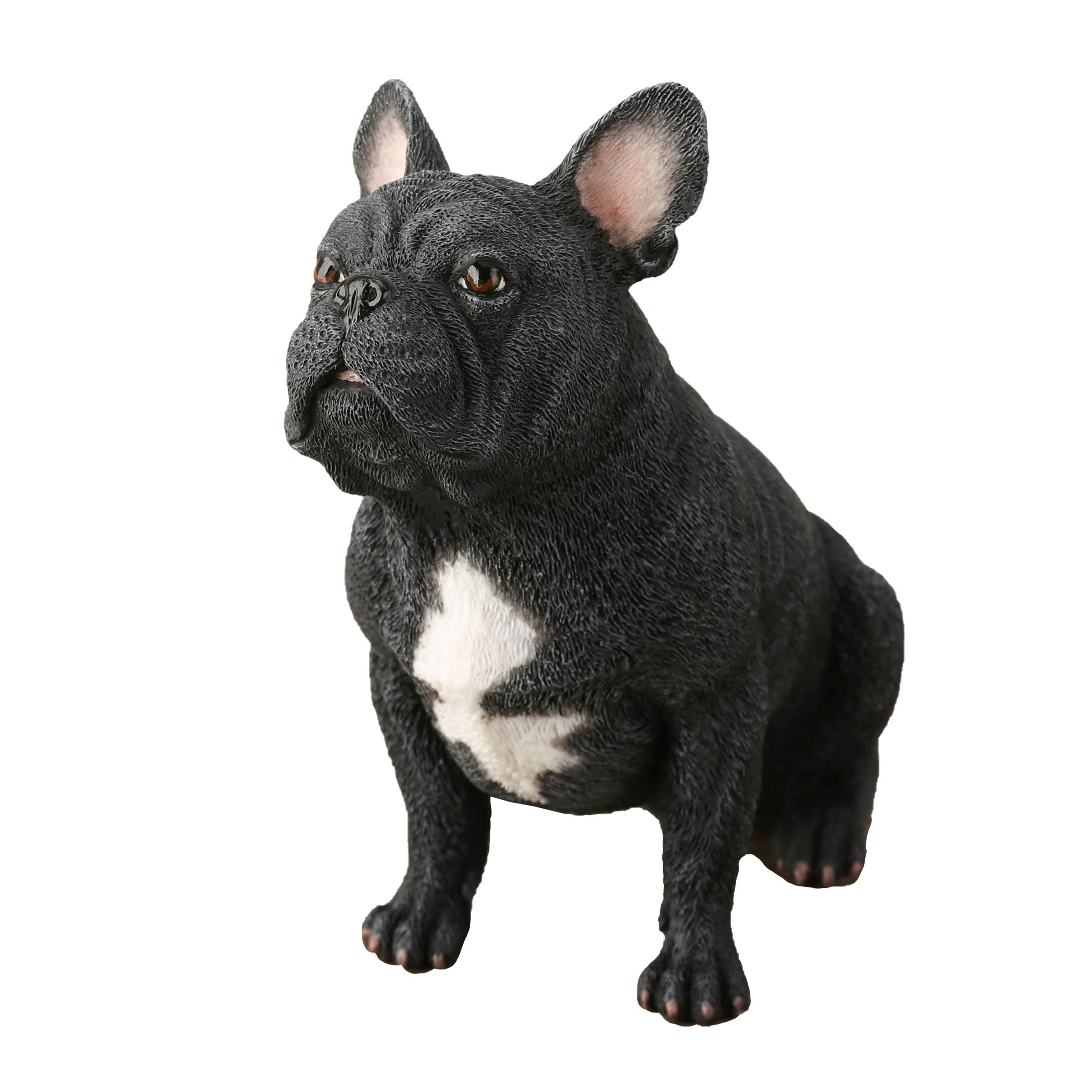 French Bulldog Sitting