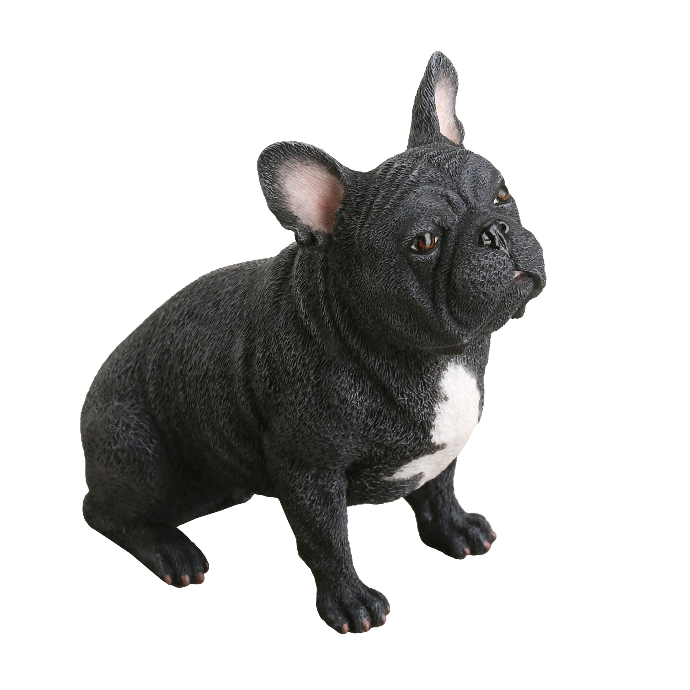 French Bulldog Sitting