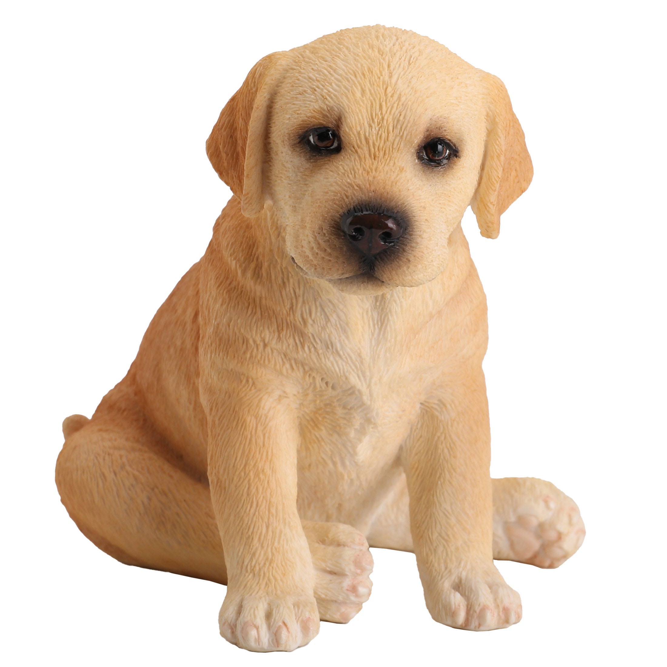 Sitting Labrador Puppy