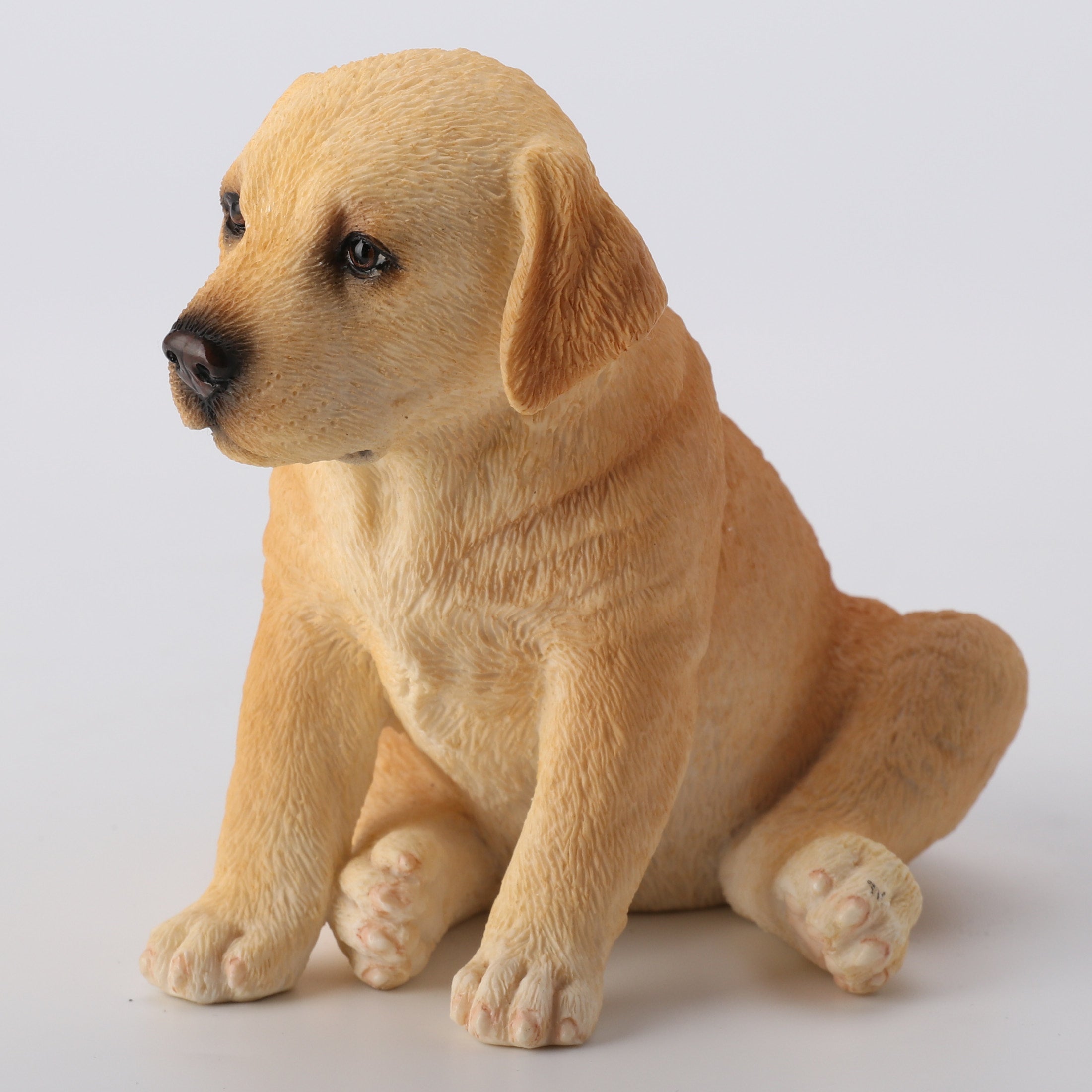 Sitting Labrador Puppy