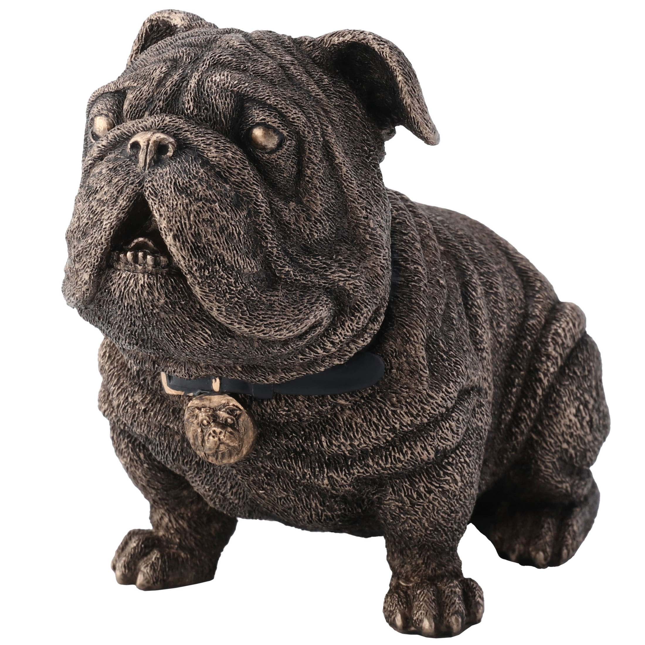 Sitting Bulldog Wearing Collar