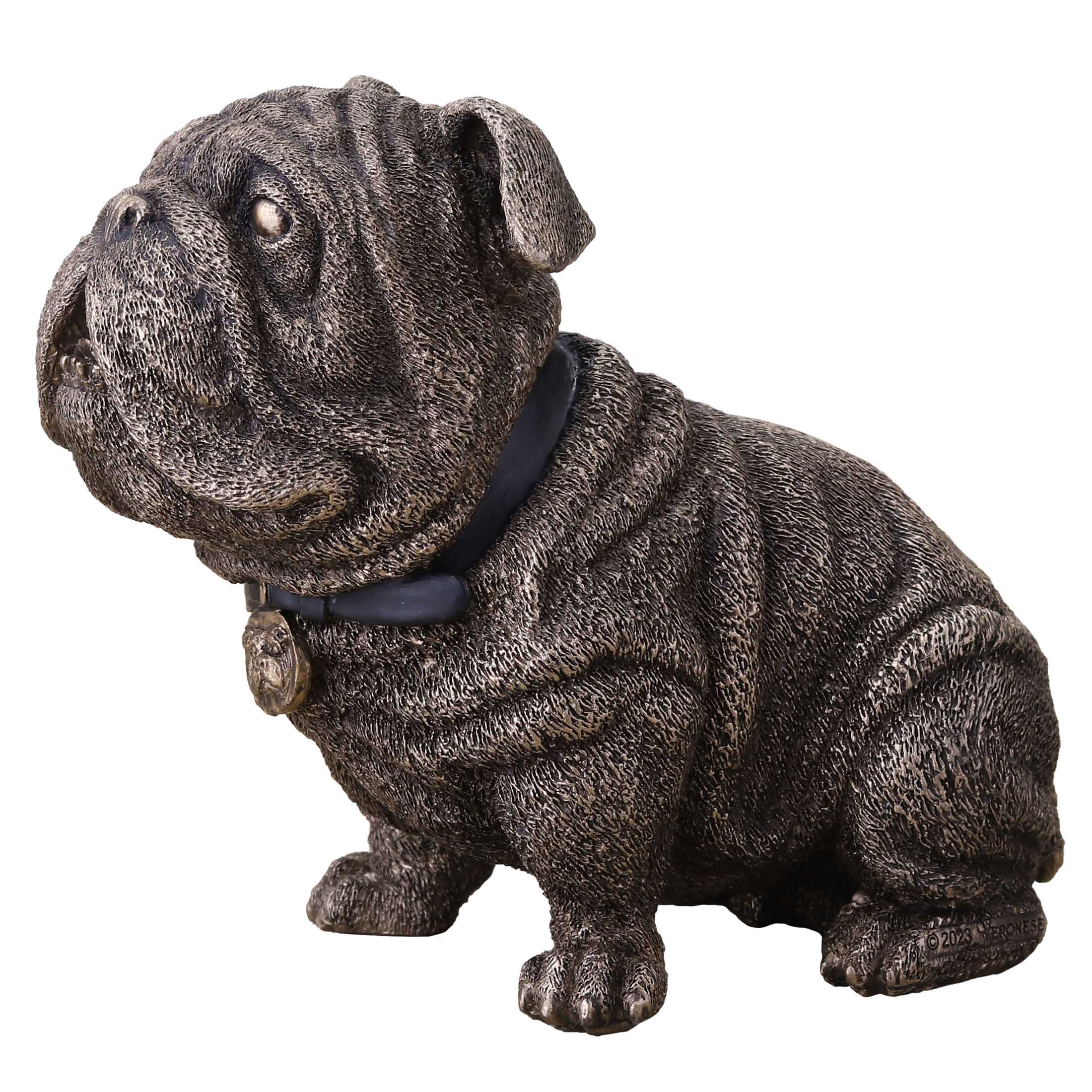 Sitting Bulldog Wearing Collar