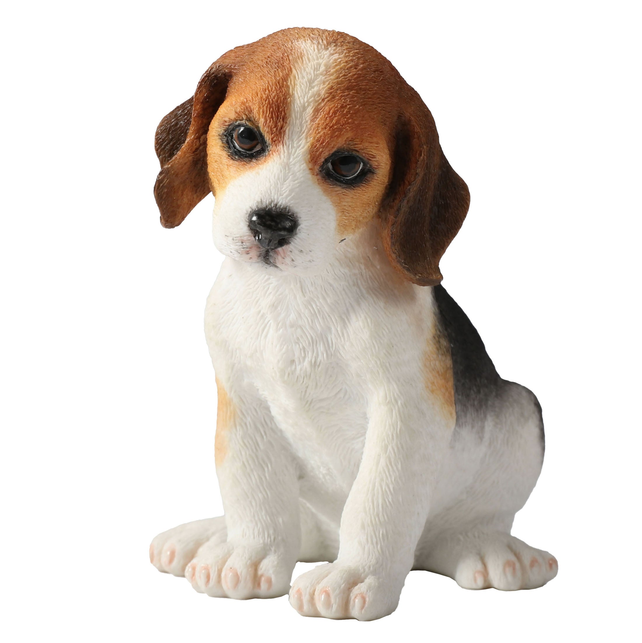 Beagle Puppy Sitting