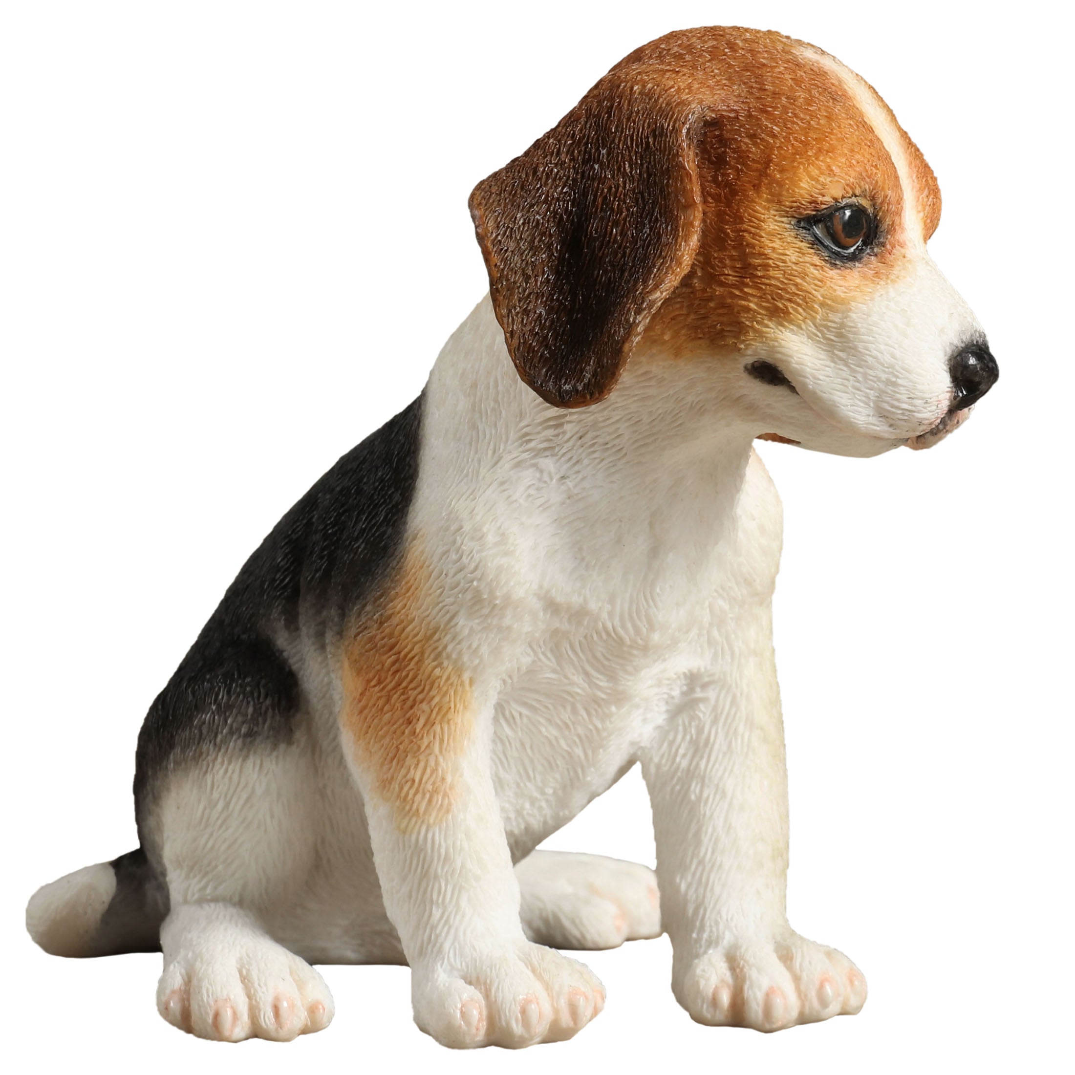 Beagle Puppy Sitting