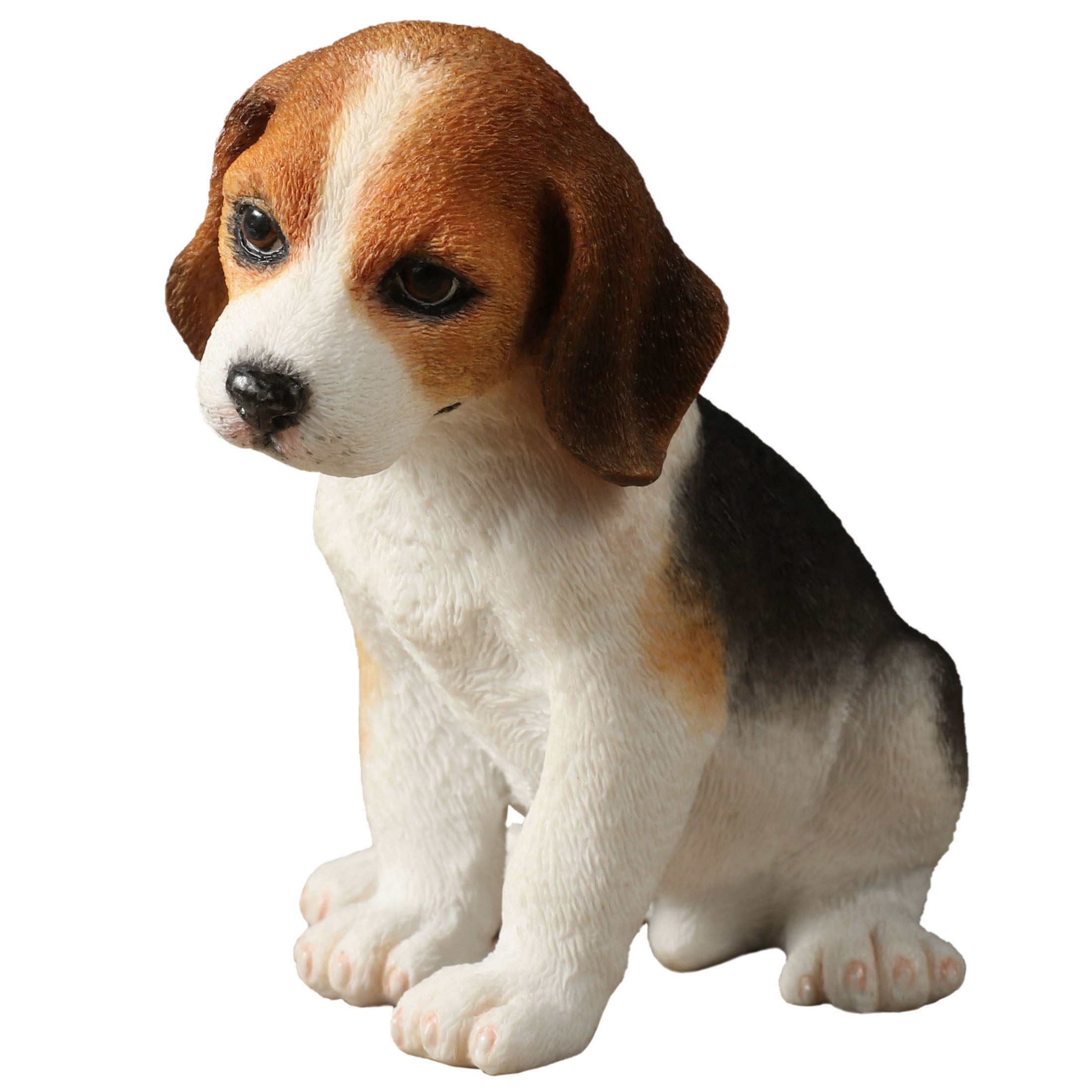 Beagle Puppy Sitting