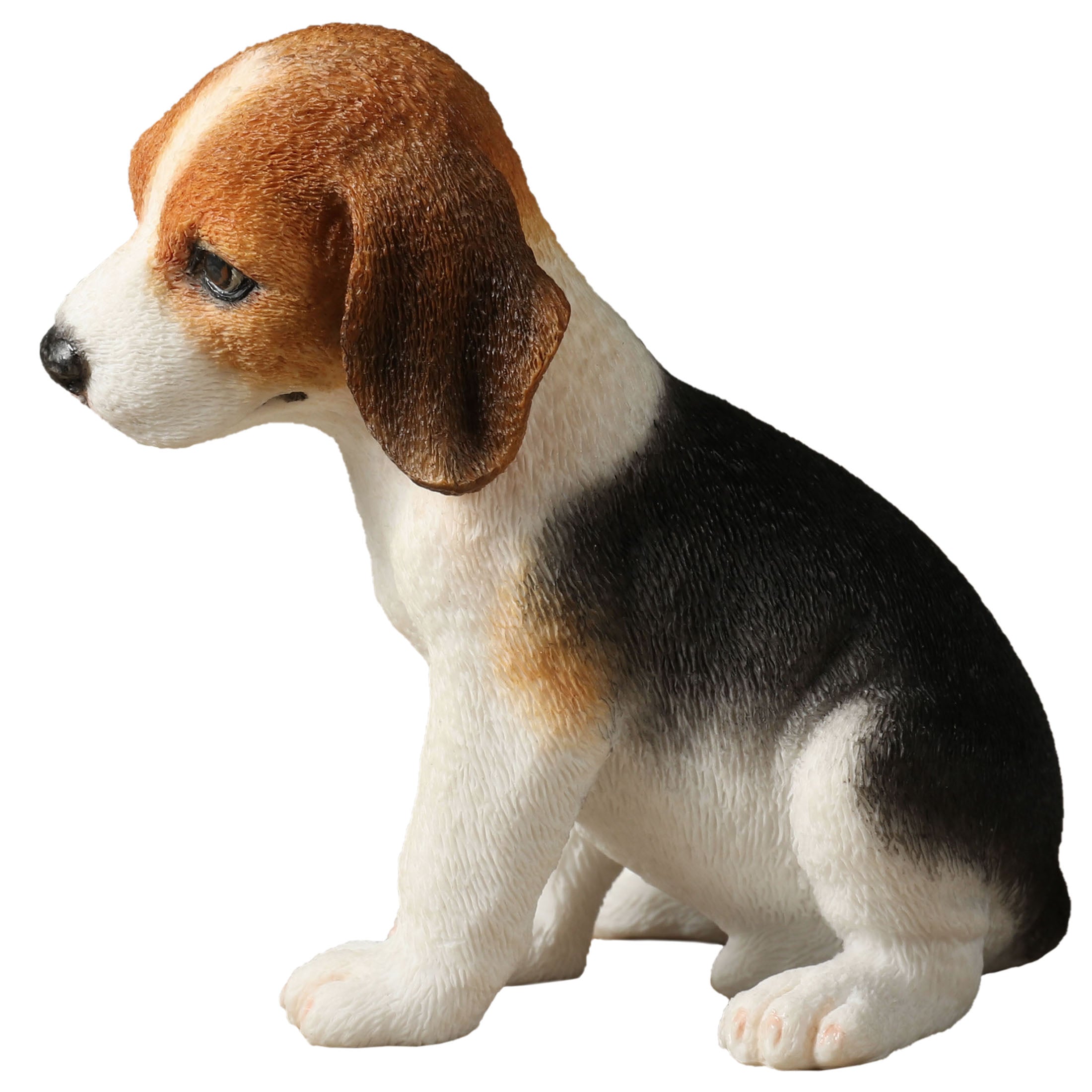 Beagle Puppy Sitting