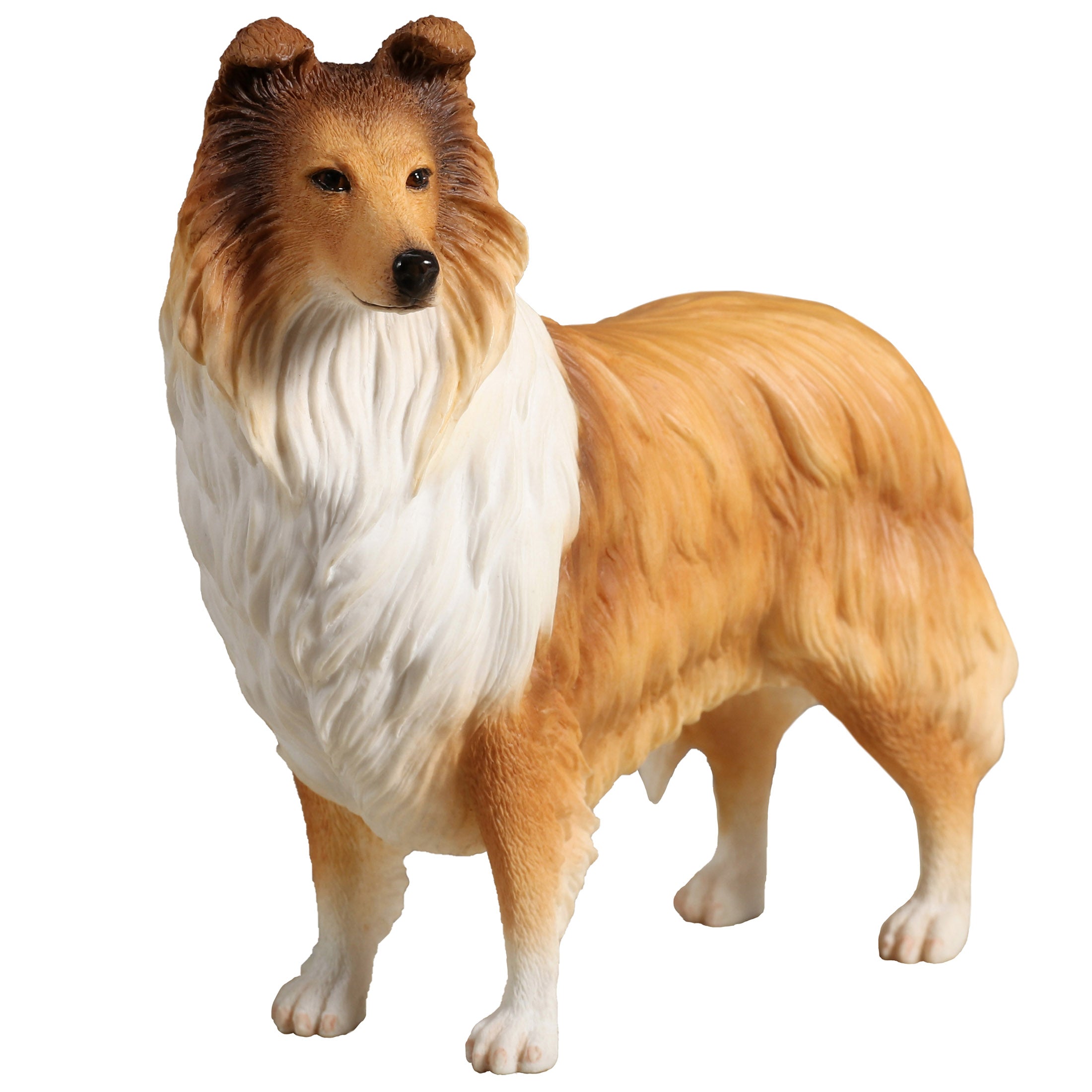 Rough Collie