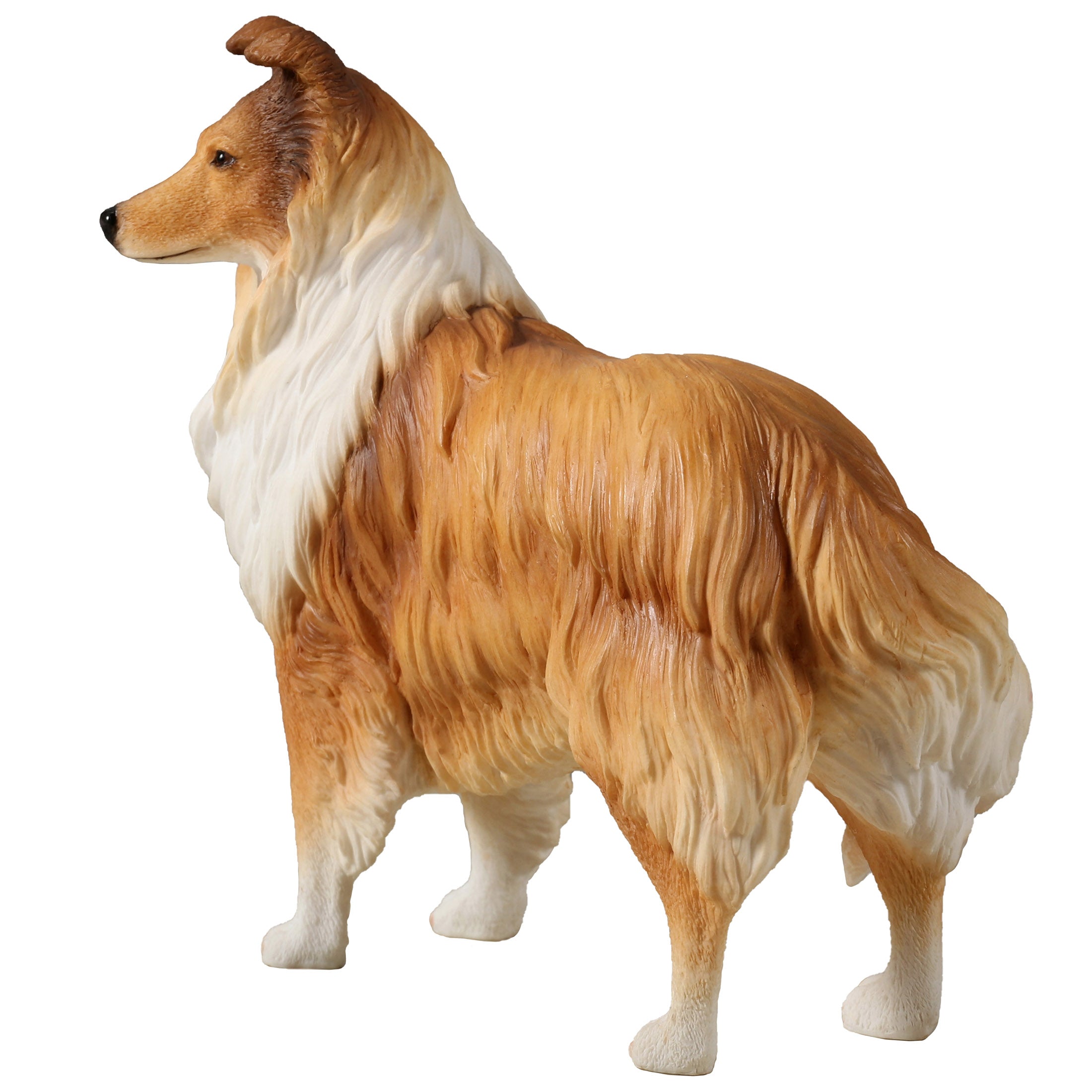 Rough Collie