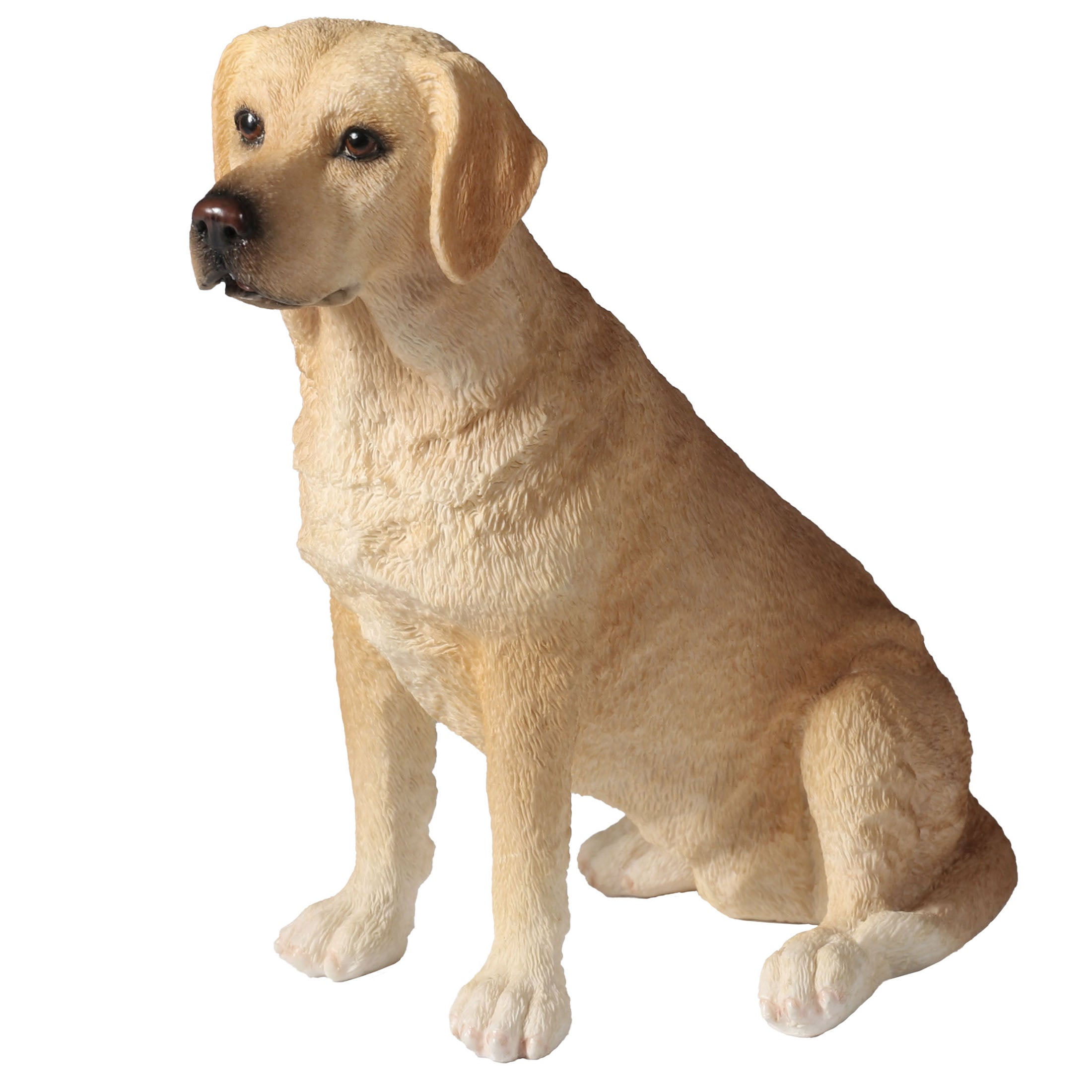 Sitting Labrador Retriever