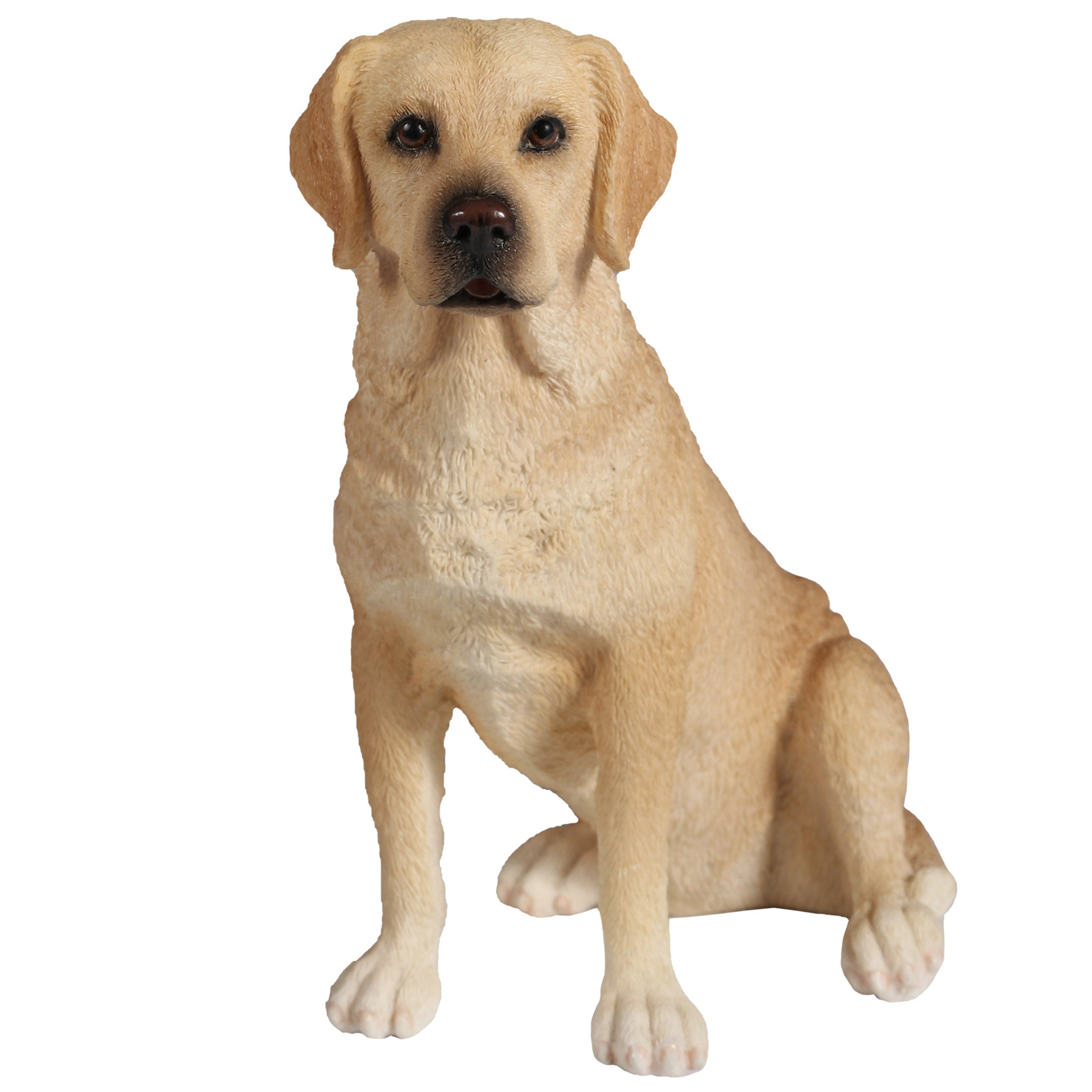 Sitting Labrador Retriever