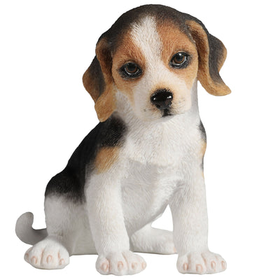 Sitting Beagle Puppy