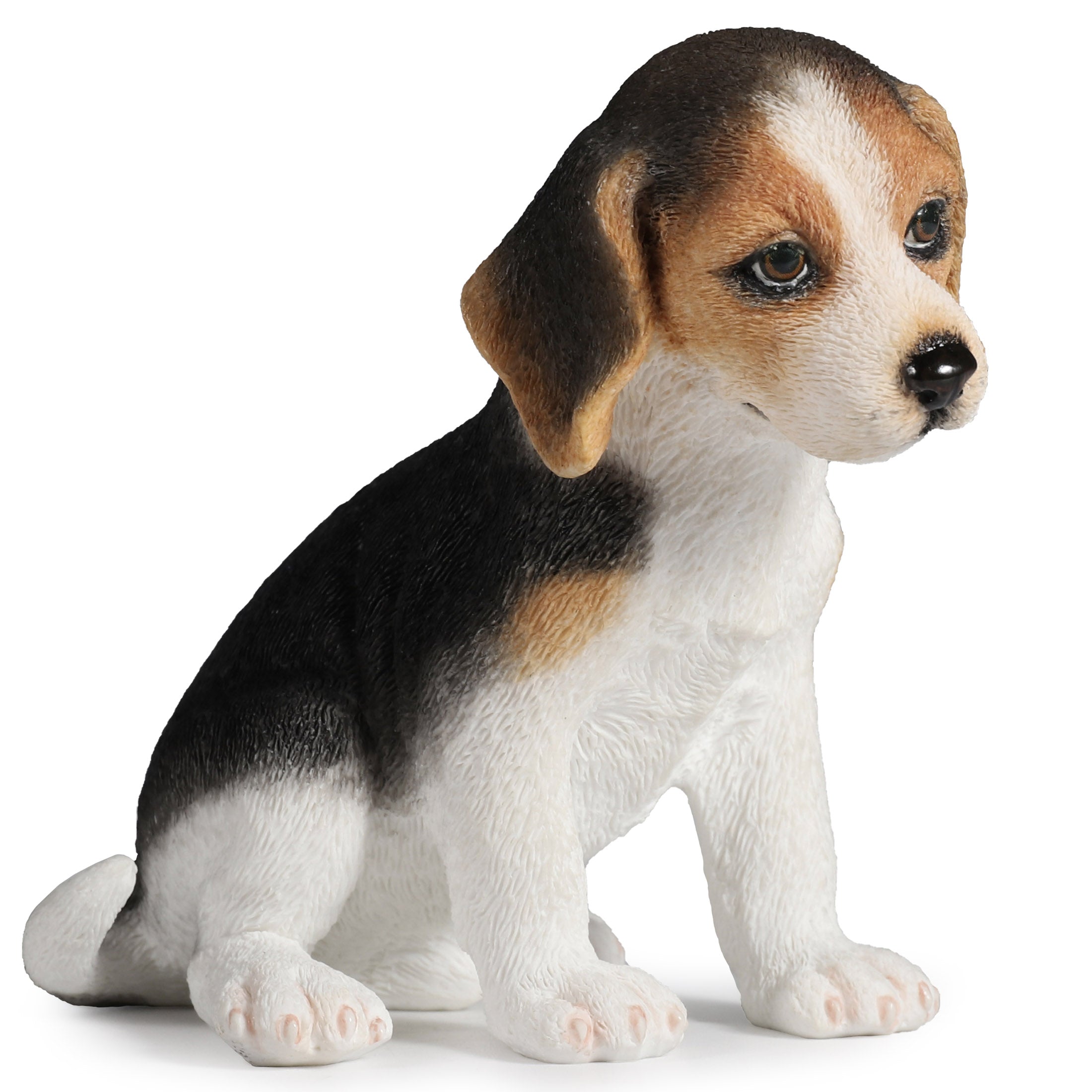 Sitting Beagle Puppy