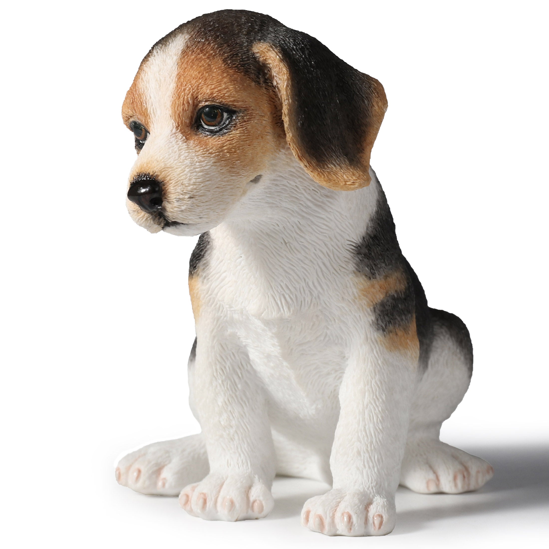 Sitting Beagle Puppy