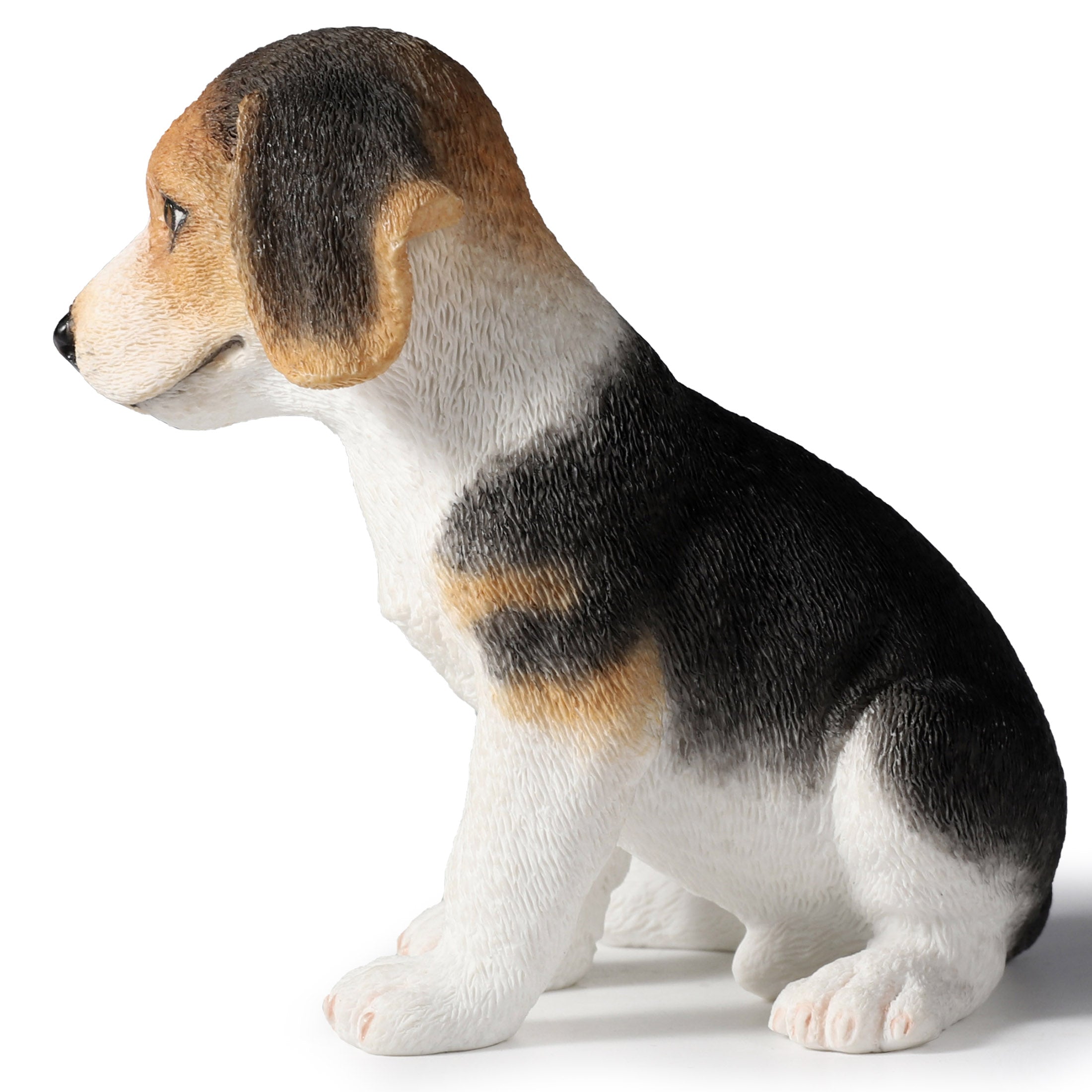 Sitting Beagle Puppy