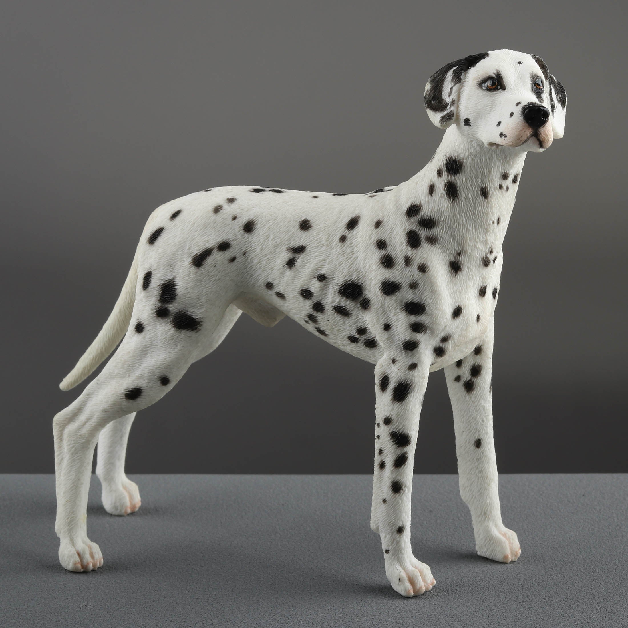 Dalmatian