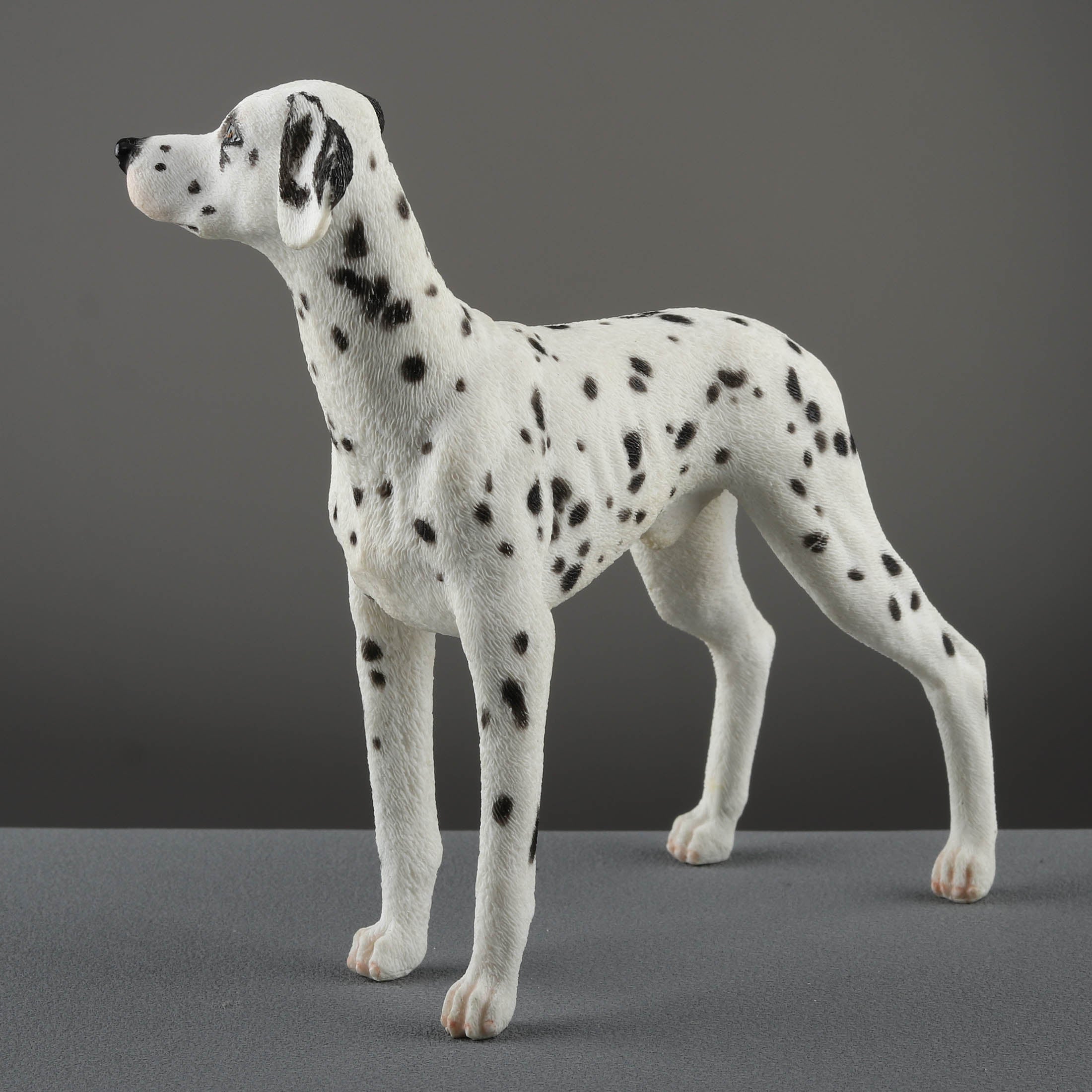 Dalmatian