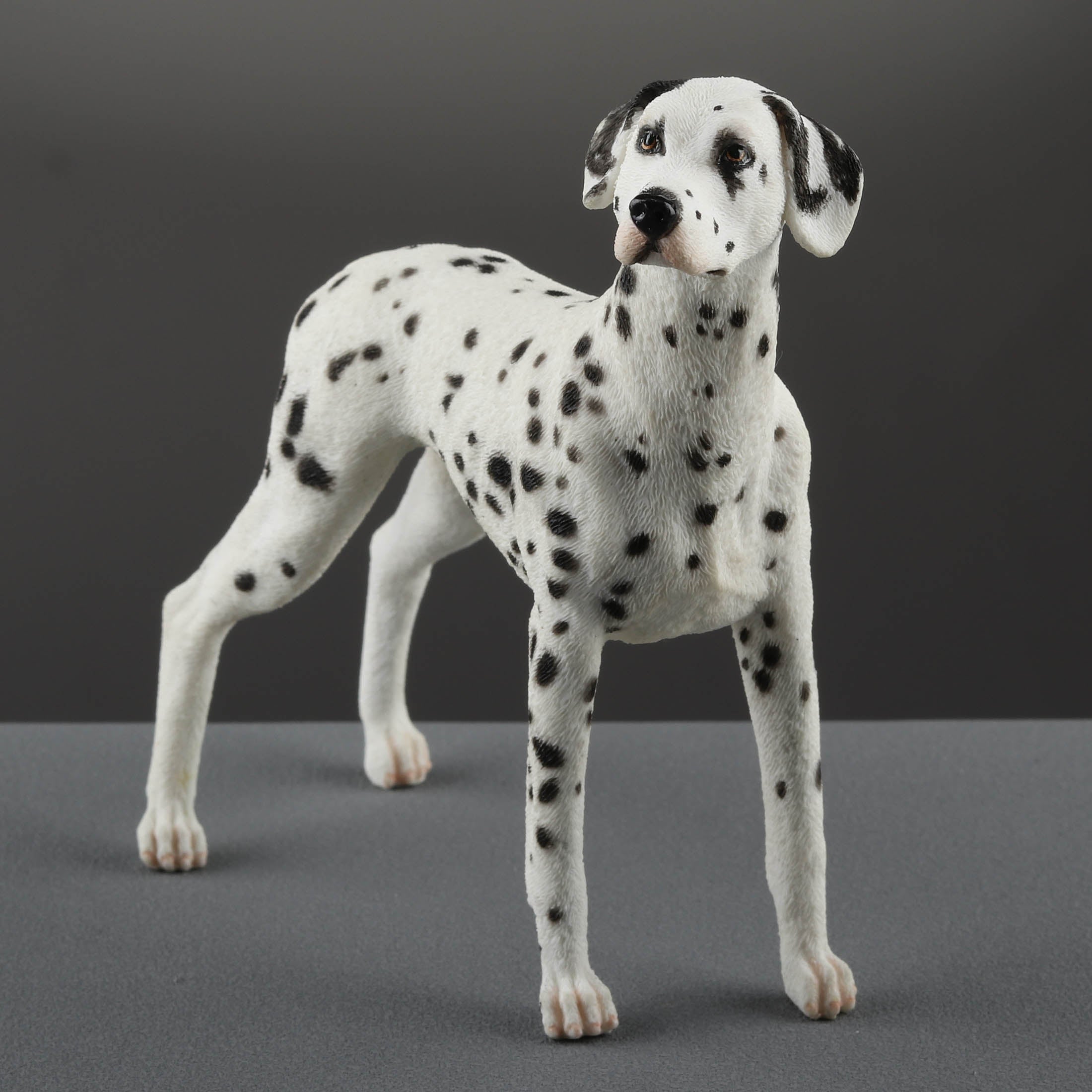 Dalmatian