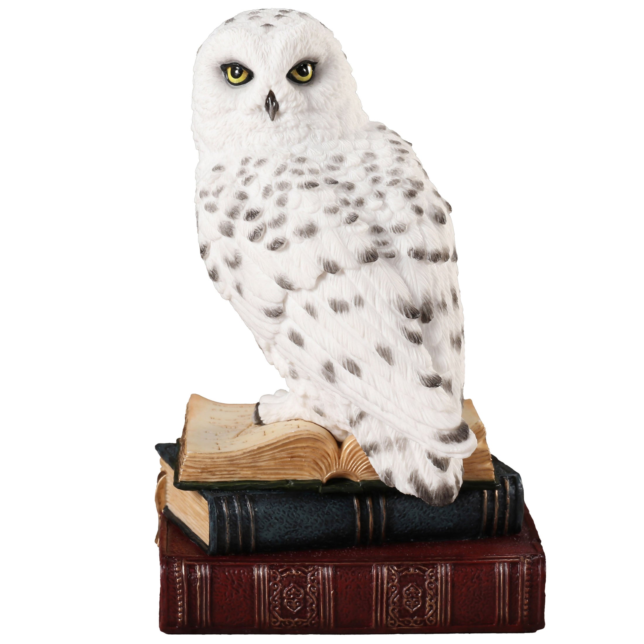 Snowy Owl Perching On Stack Of Books