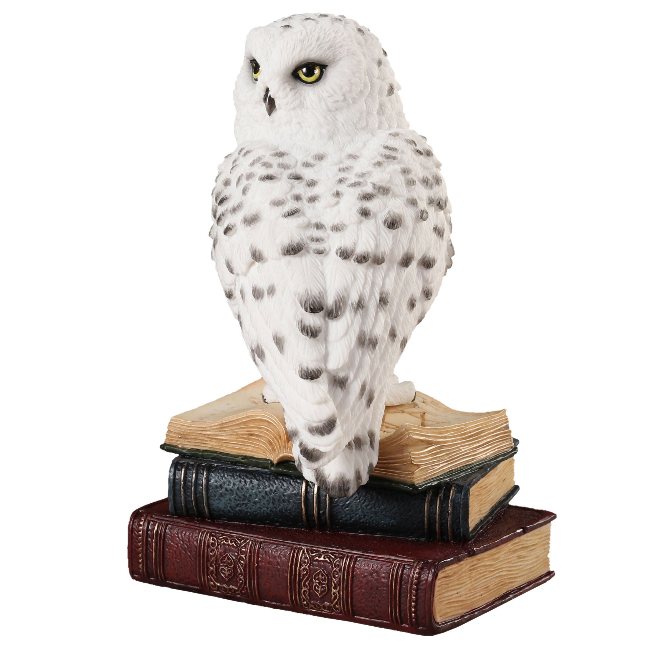 Snowy Owl Perching On Stack Of Books