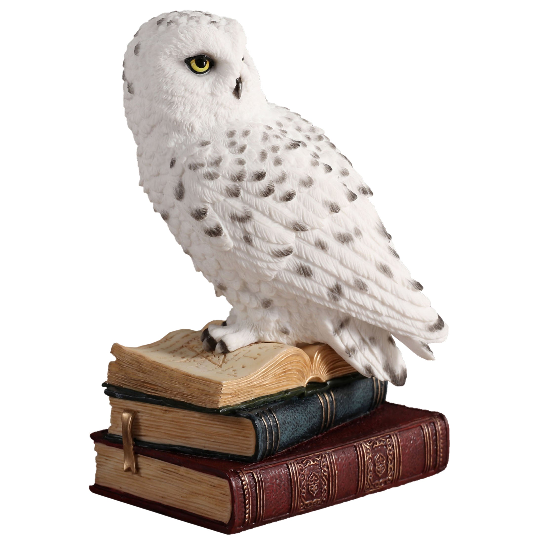Snowy Owl Perching On Stack Of Books