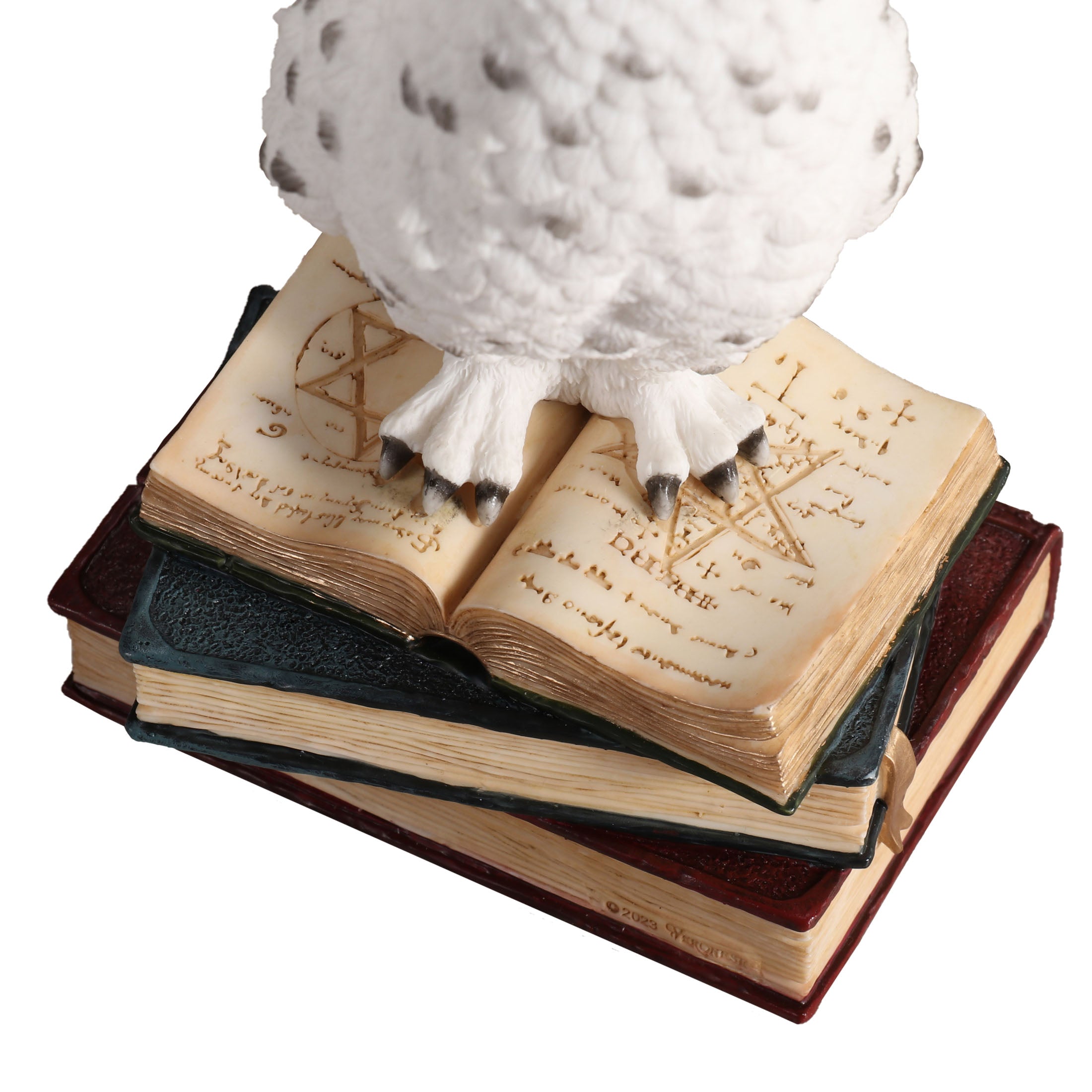 Snowy Owl Perching On Stack Of Books