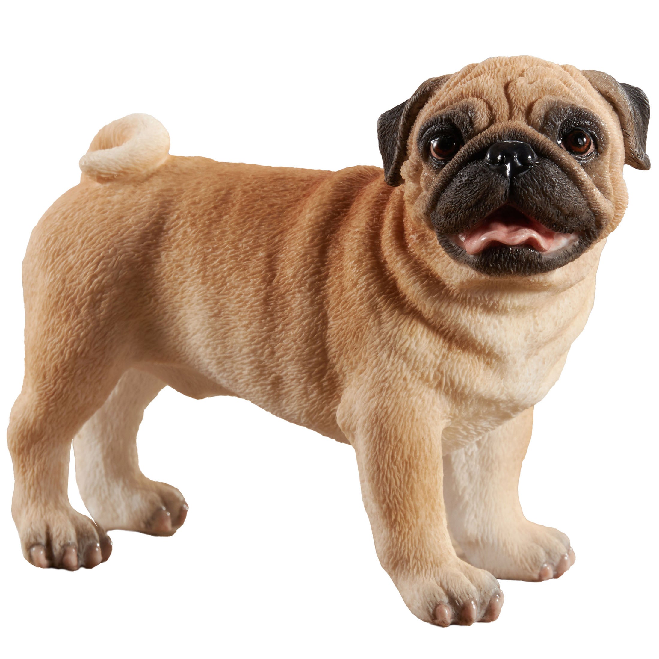 Pug