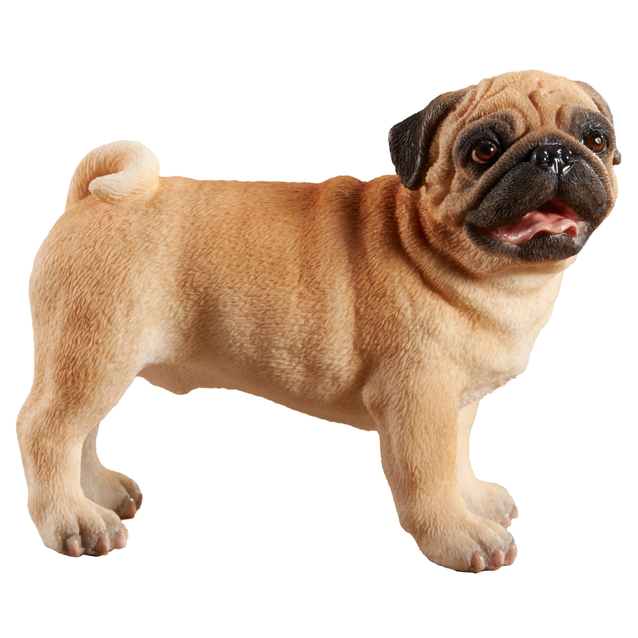 Pug