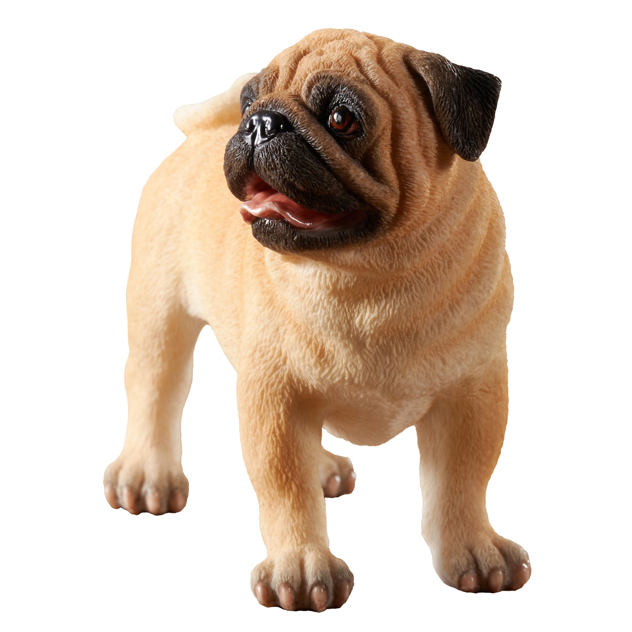 Pug