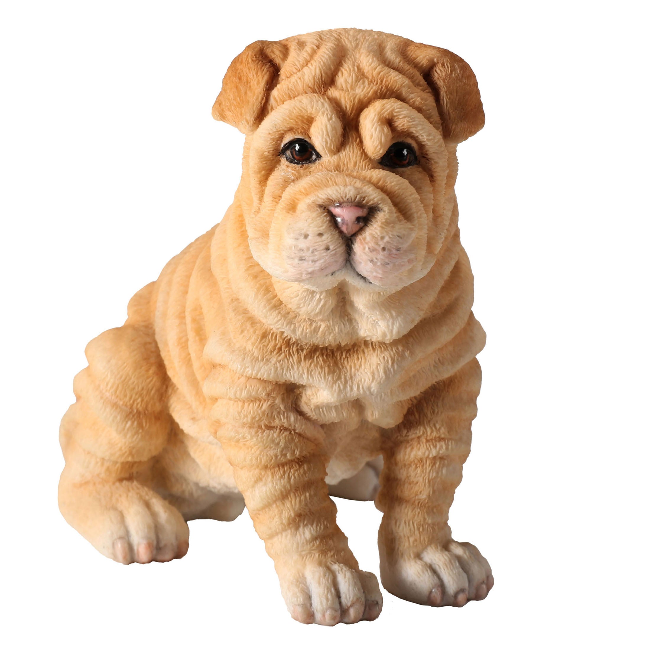 Shar Pei Puppy Sitting