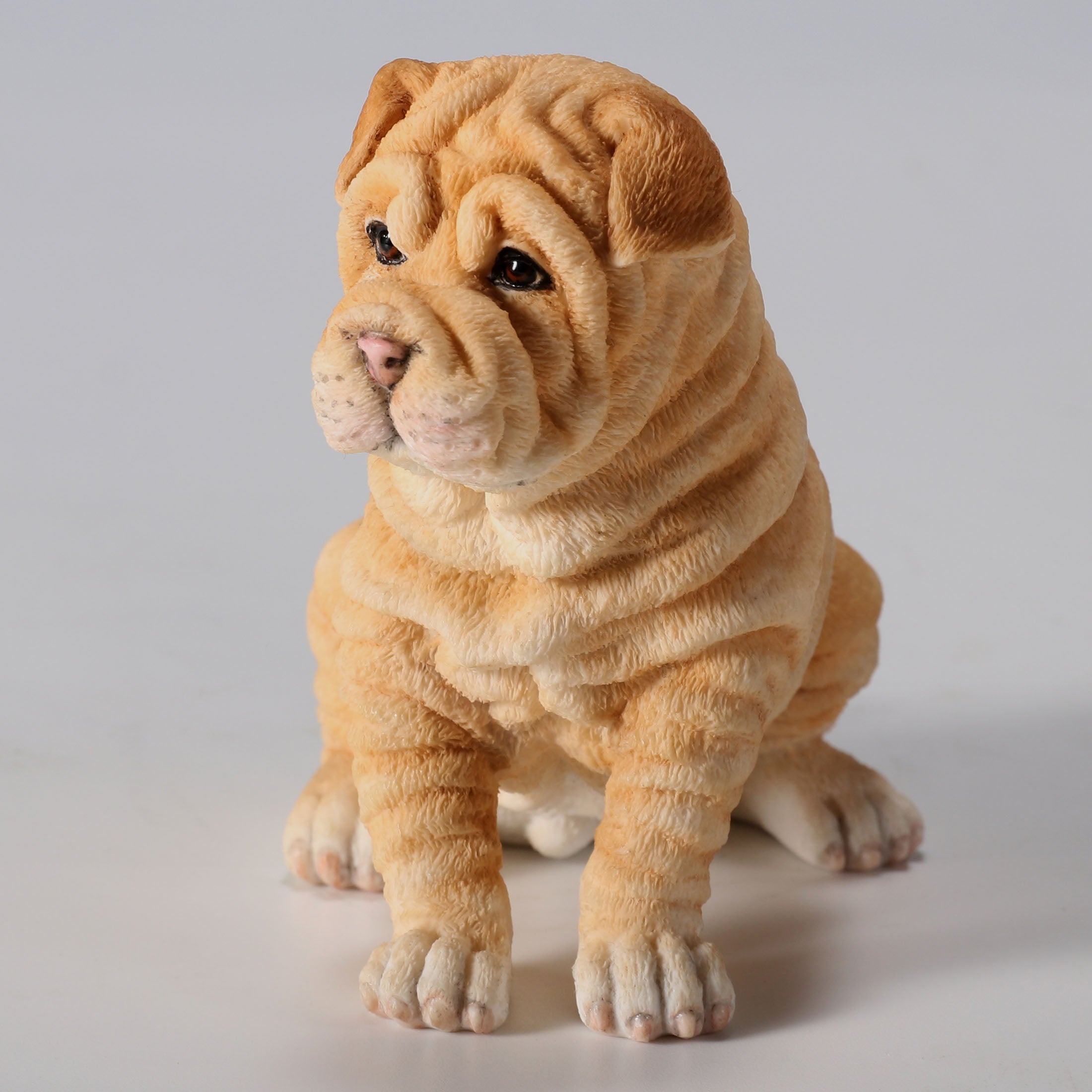 Shar Pei Puppy Sitting