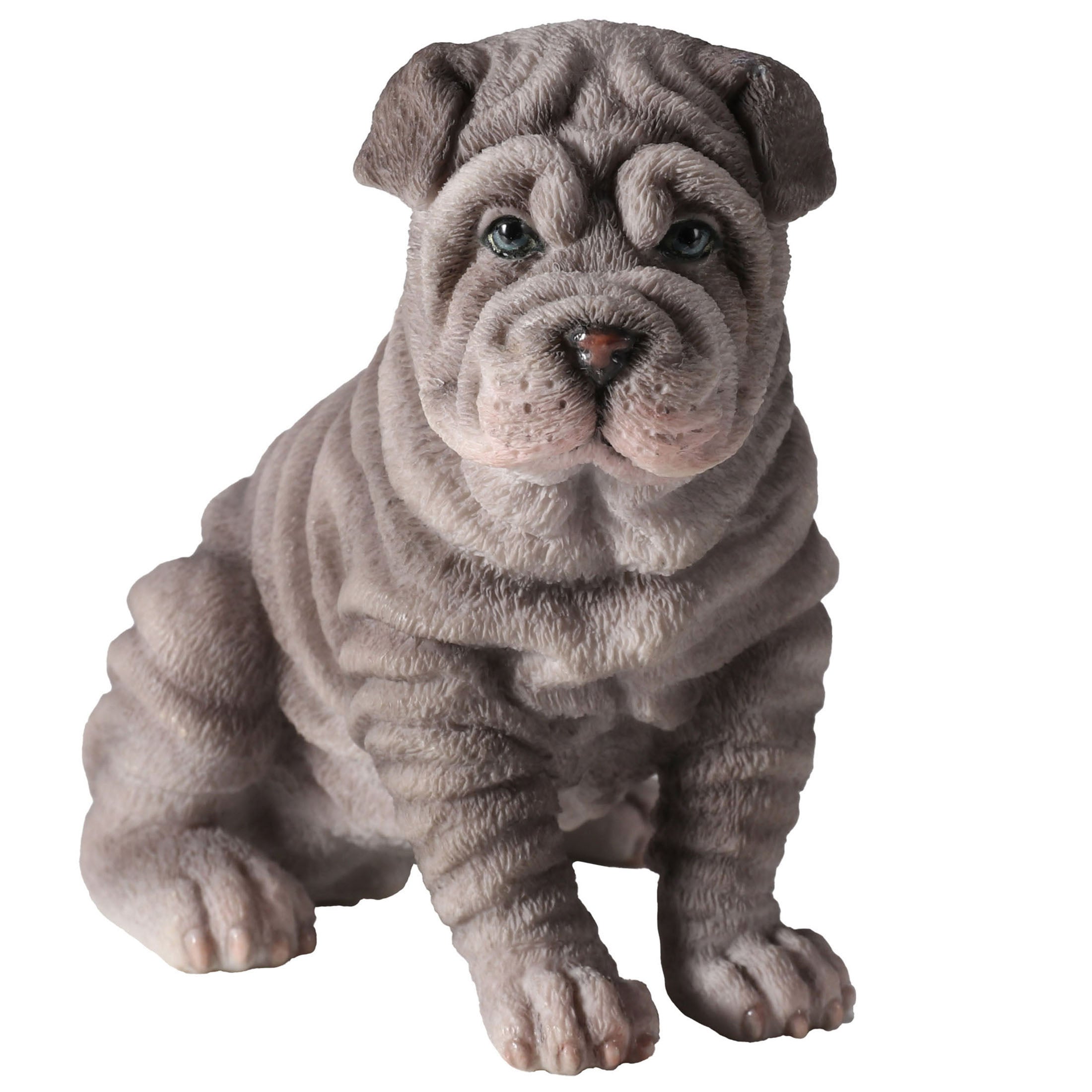 Shar Pei Puppy Sitting