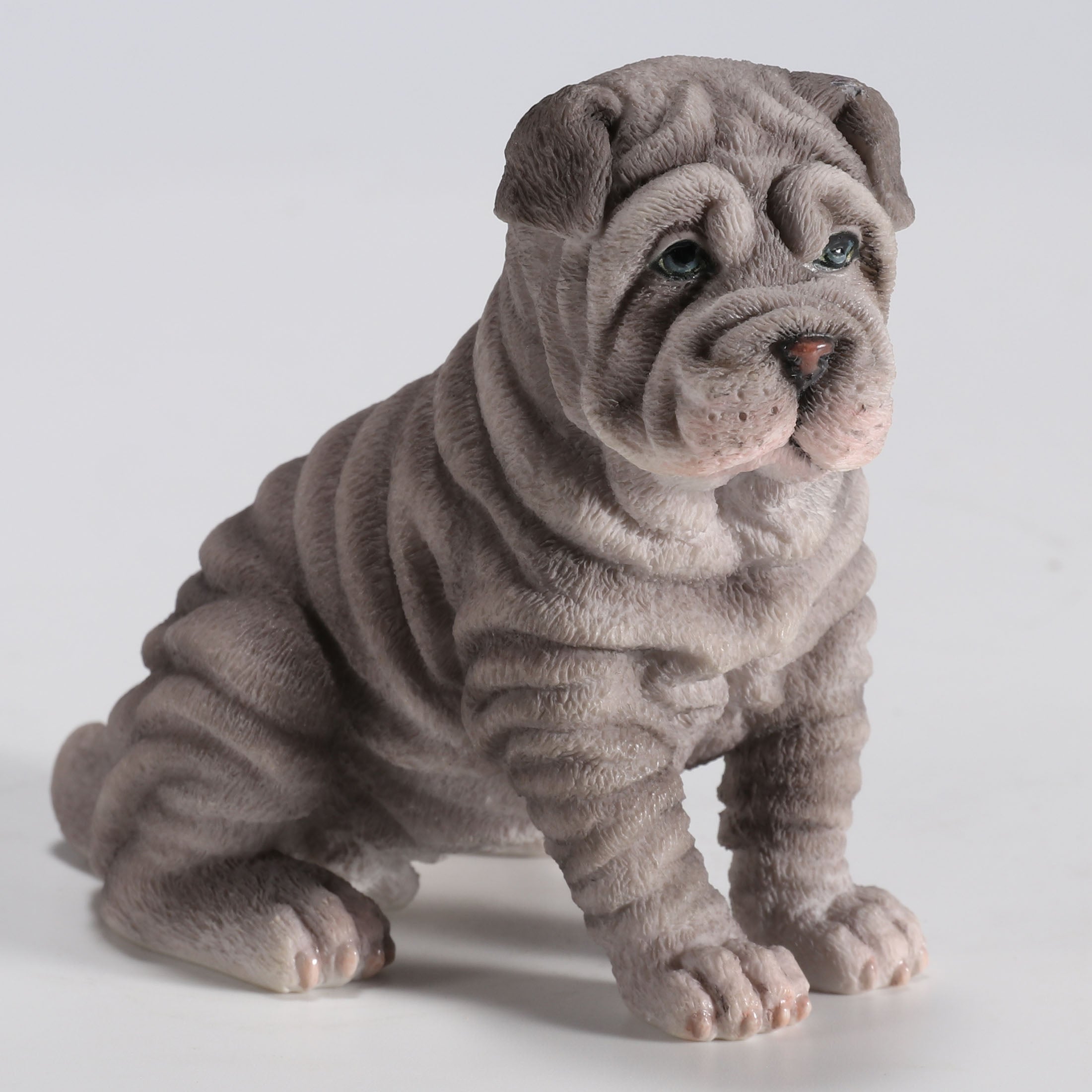 Shar Pei Puppy Sitting