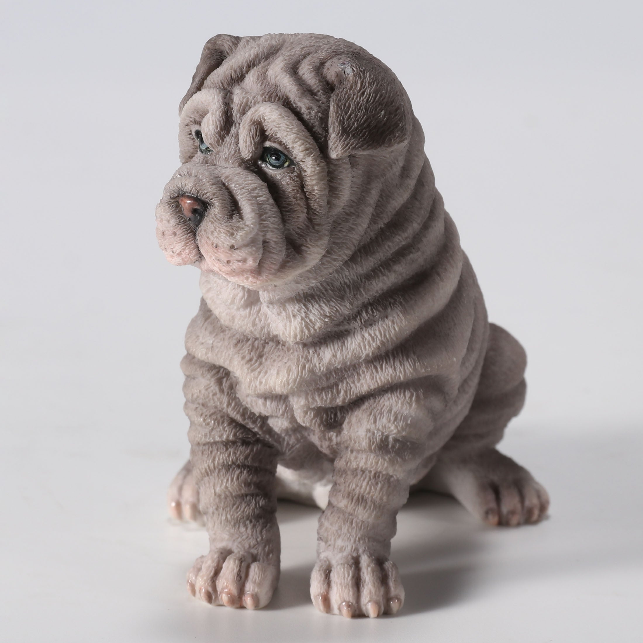 Shar Pei Puppy Sitting