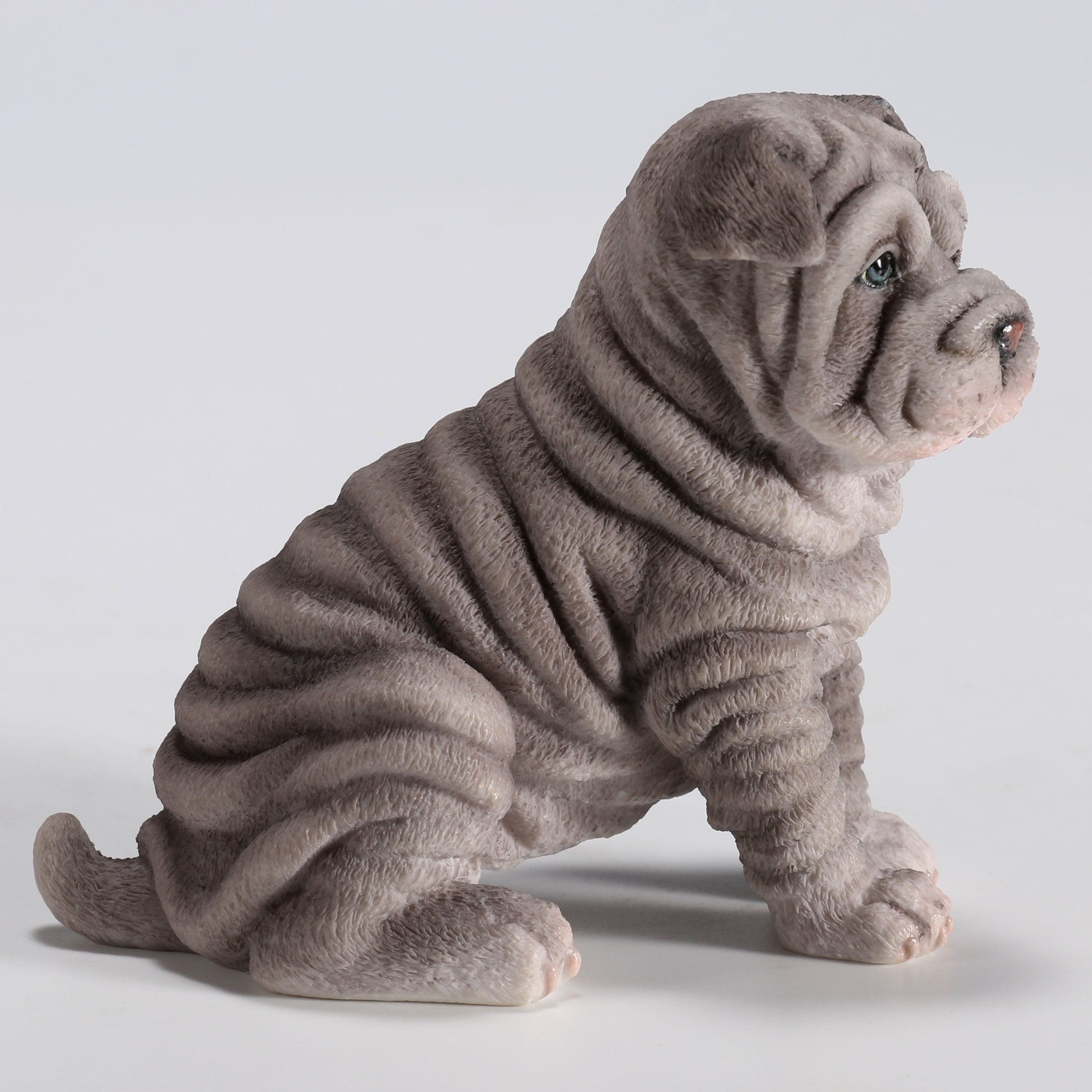 Shar Pei Puppy Sitting