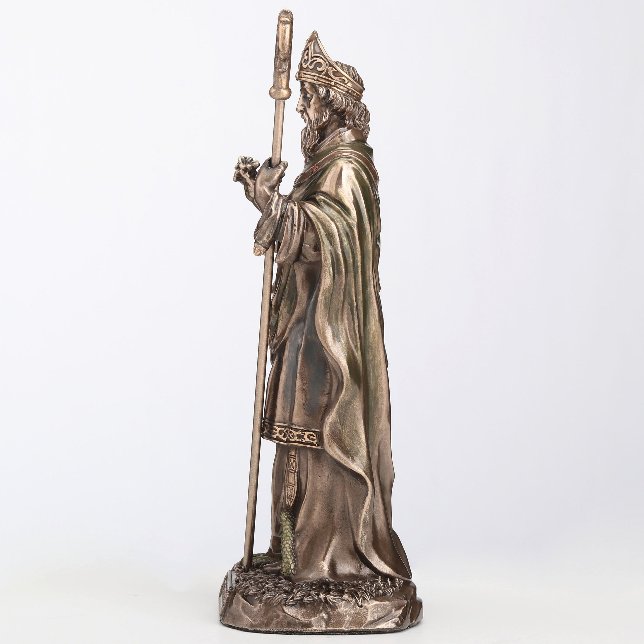 Saint Patrick the Apostle of Ireland
