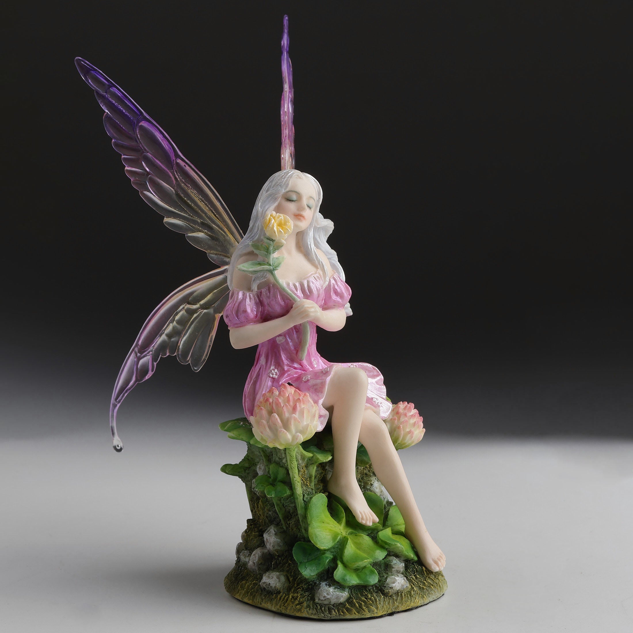 Pink Fairy And The Clovers