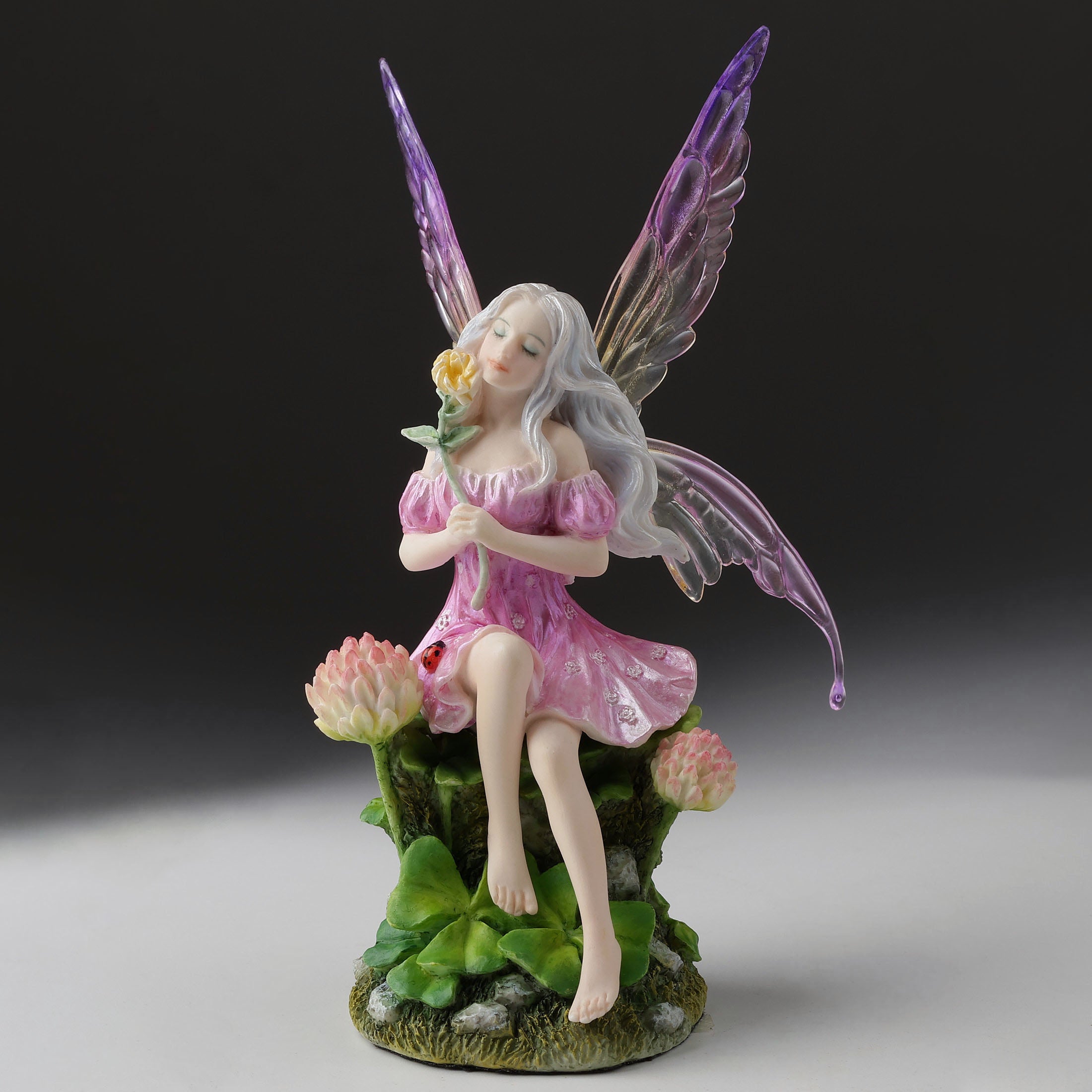 Pink Fairy And The Clovers