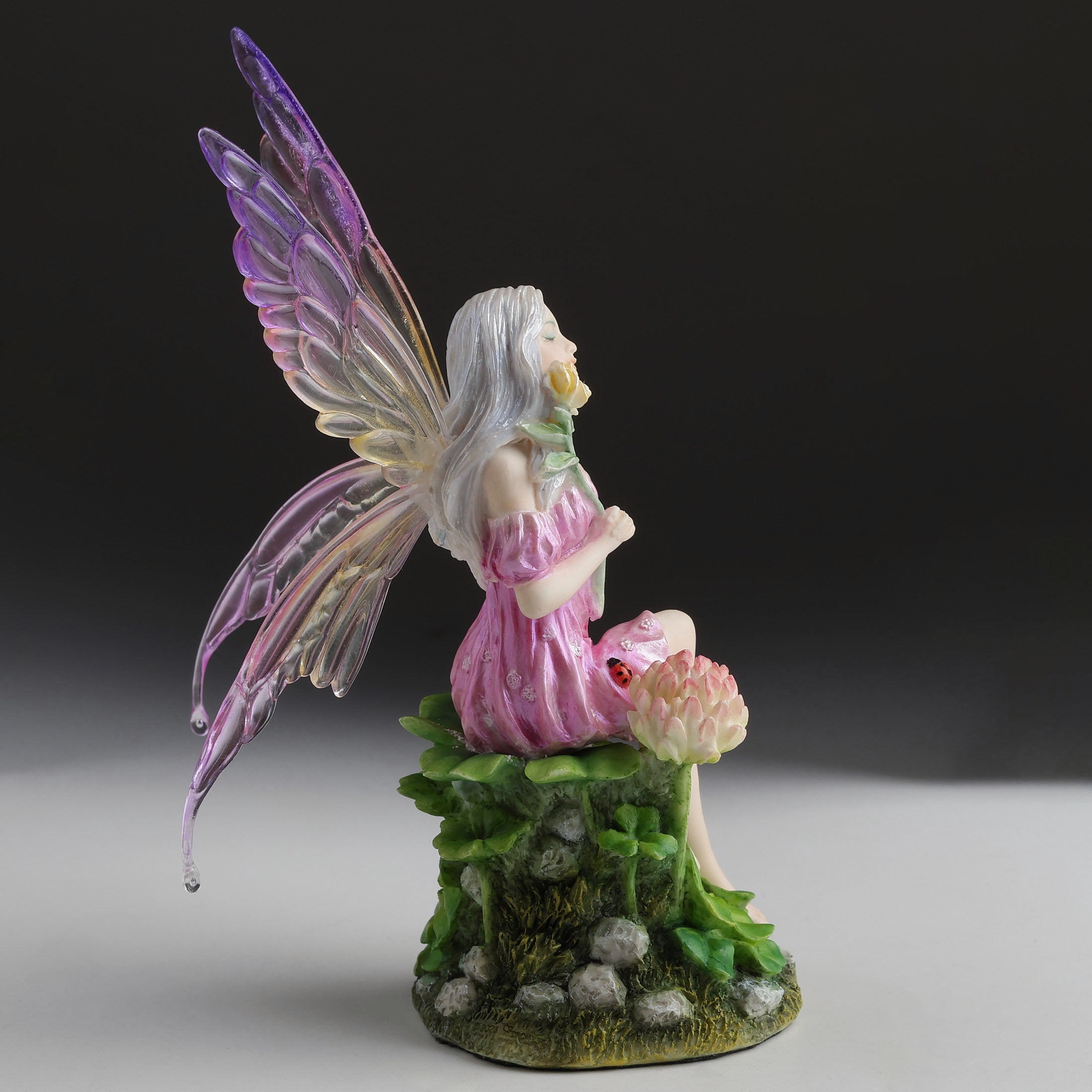 Pink Fairy And The Clovers