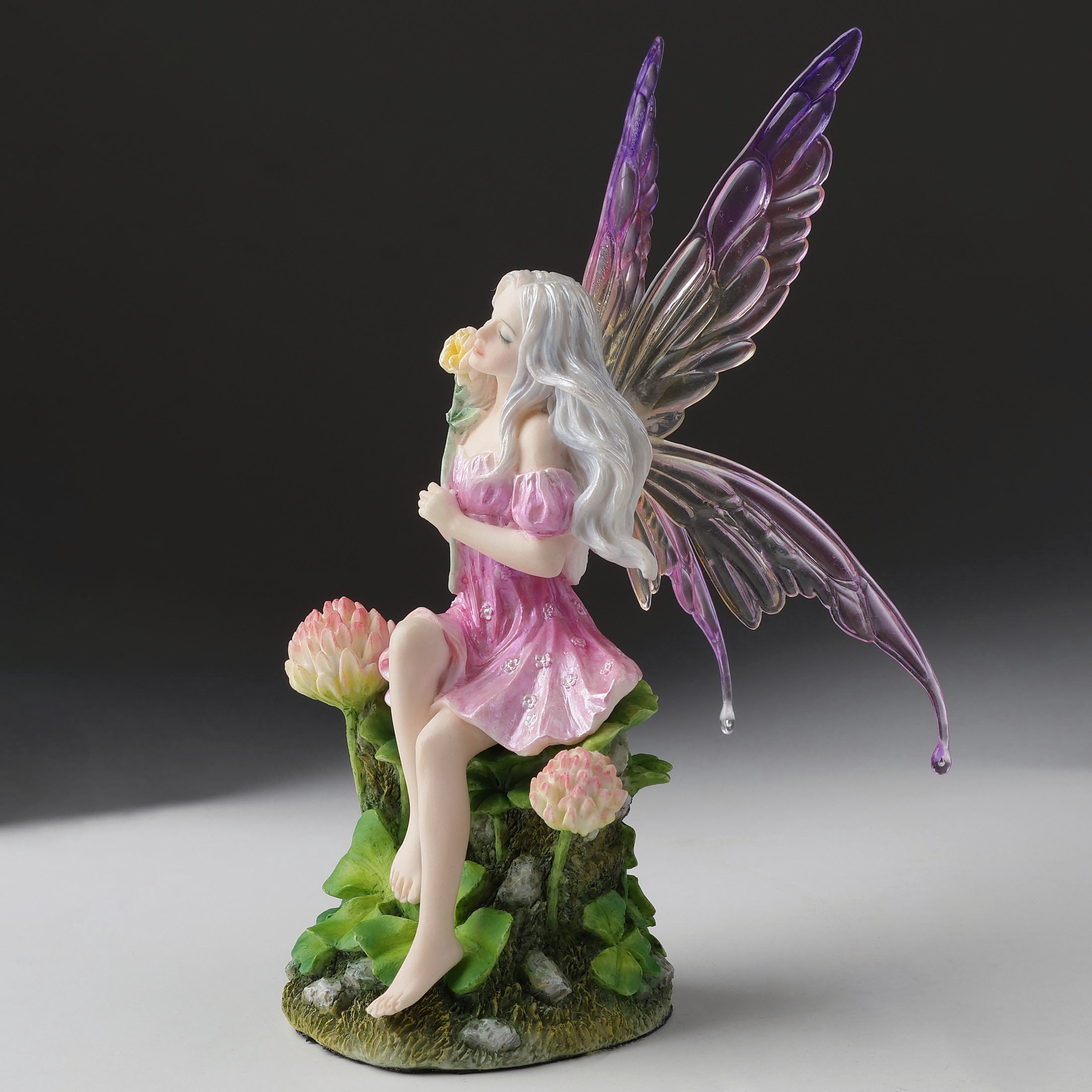 Pink Fairy And The Clovers