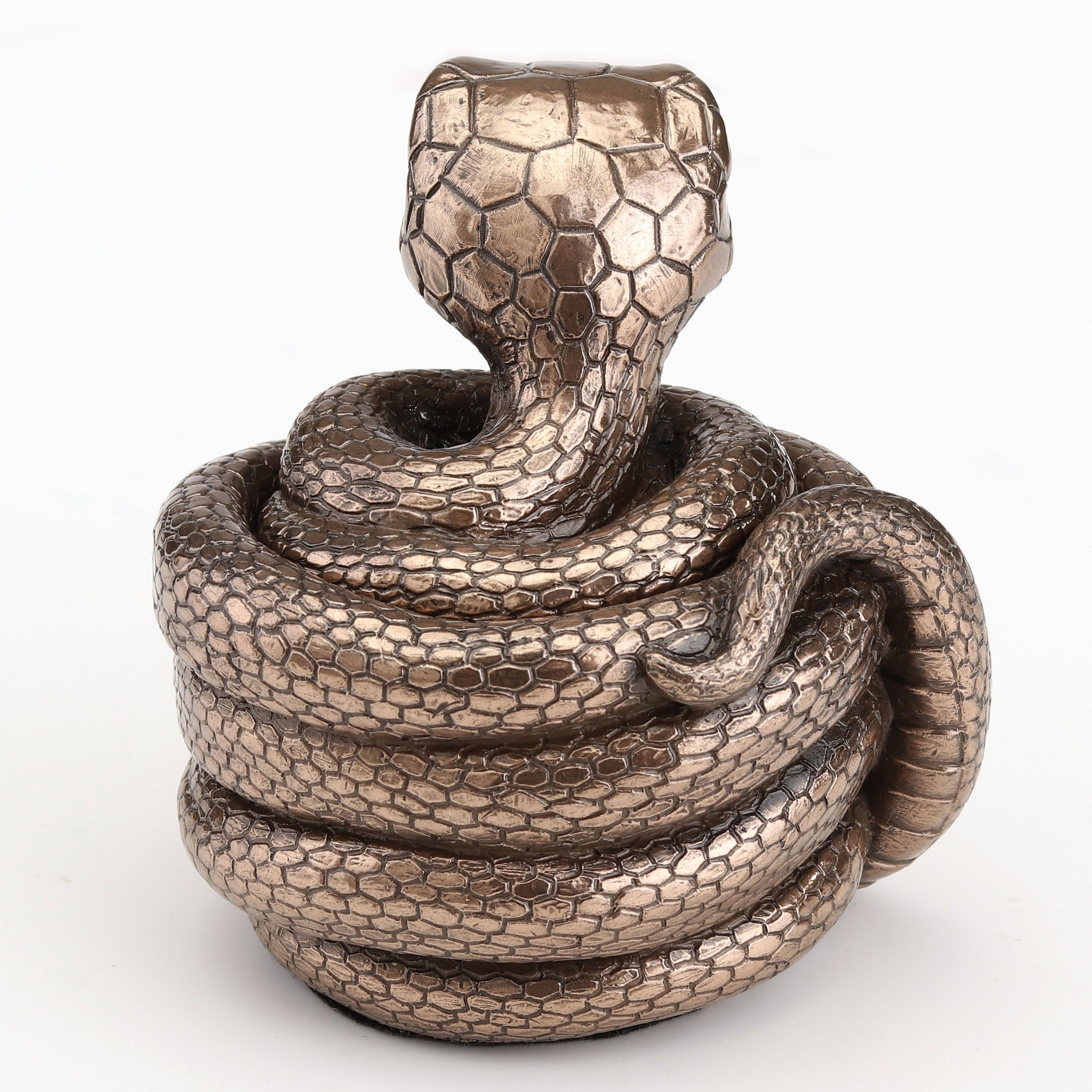 Coiling Snake Secret Trinket Stash
