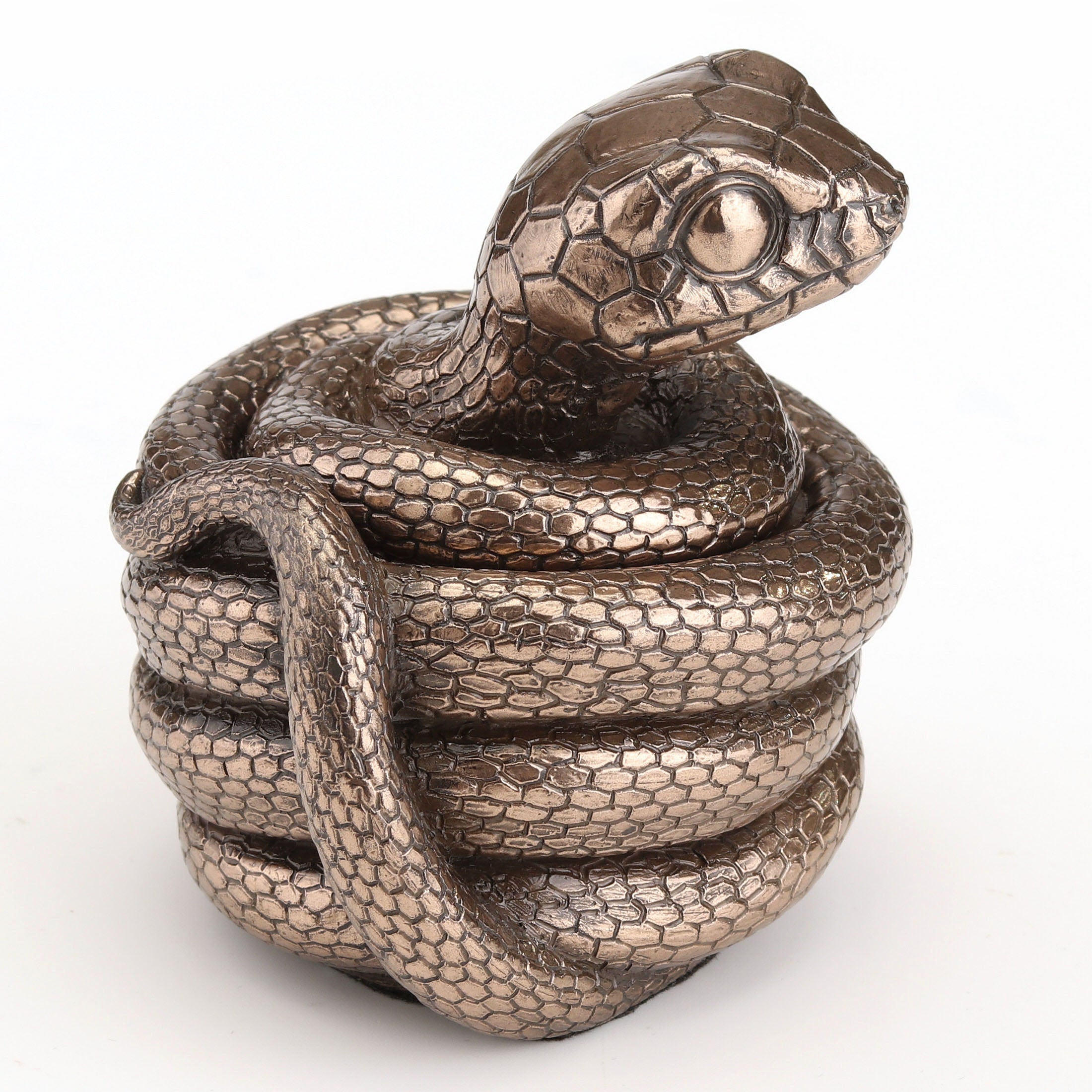 Coiling Snake Secret Trinket Stash