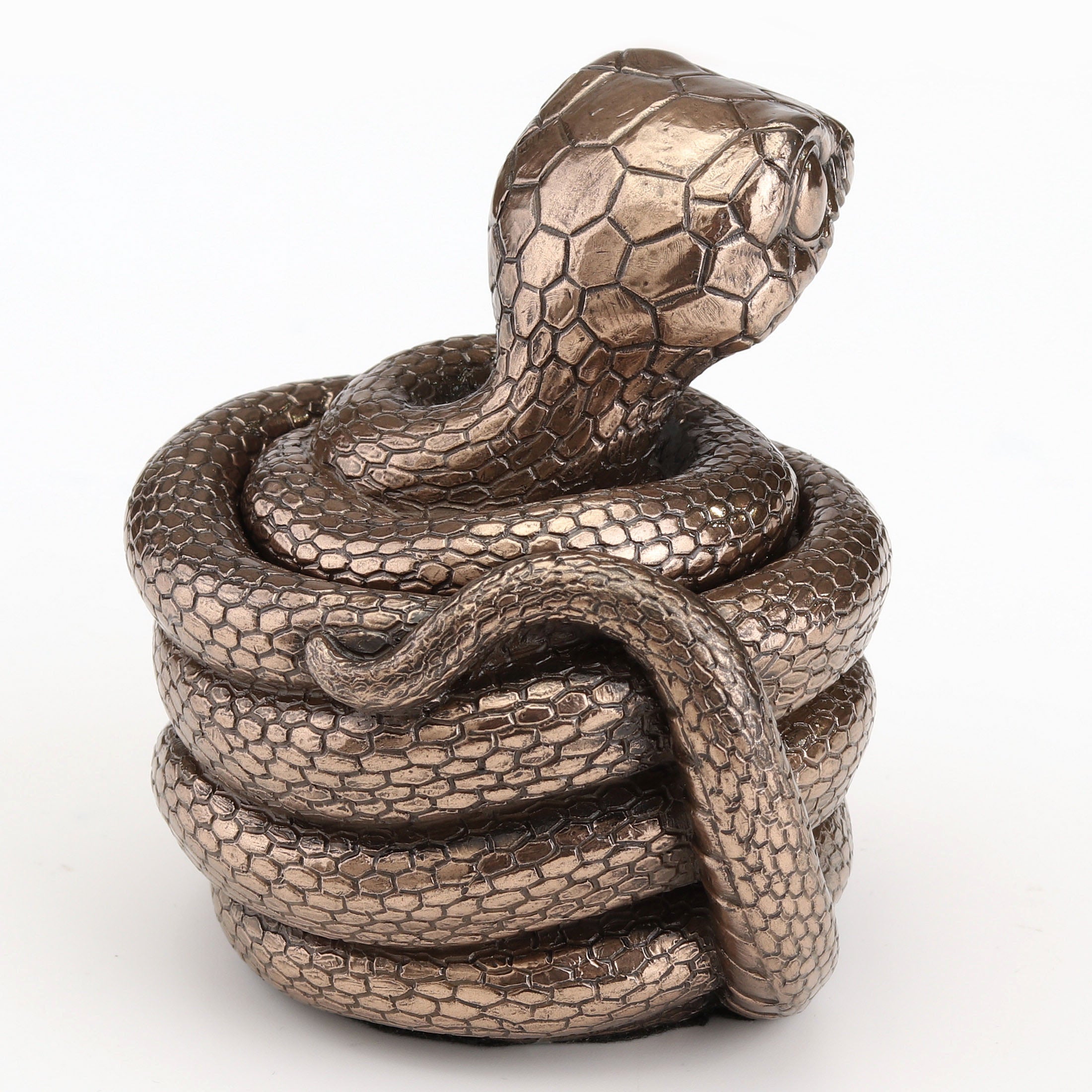 Coiling Snake Secret Trinket Stash