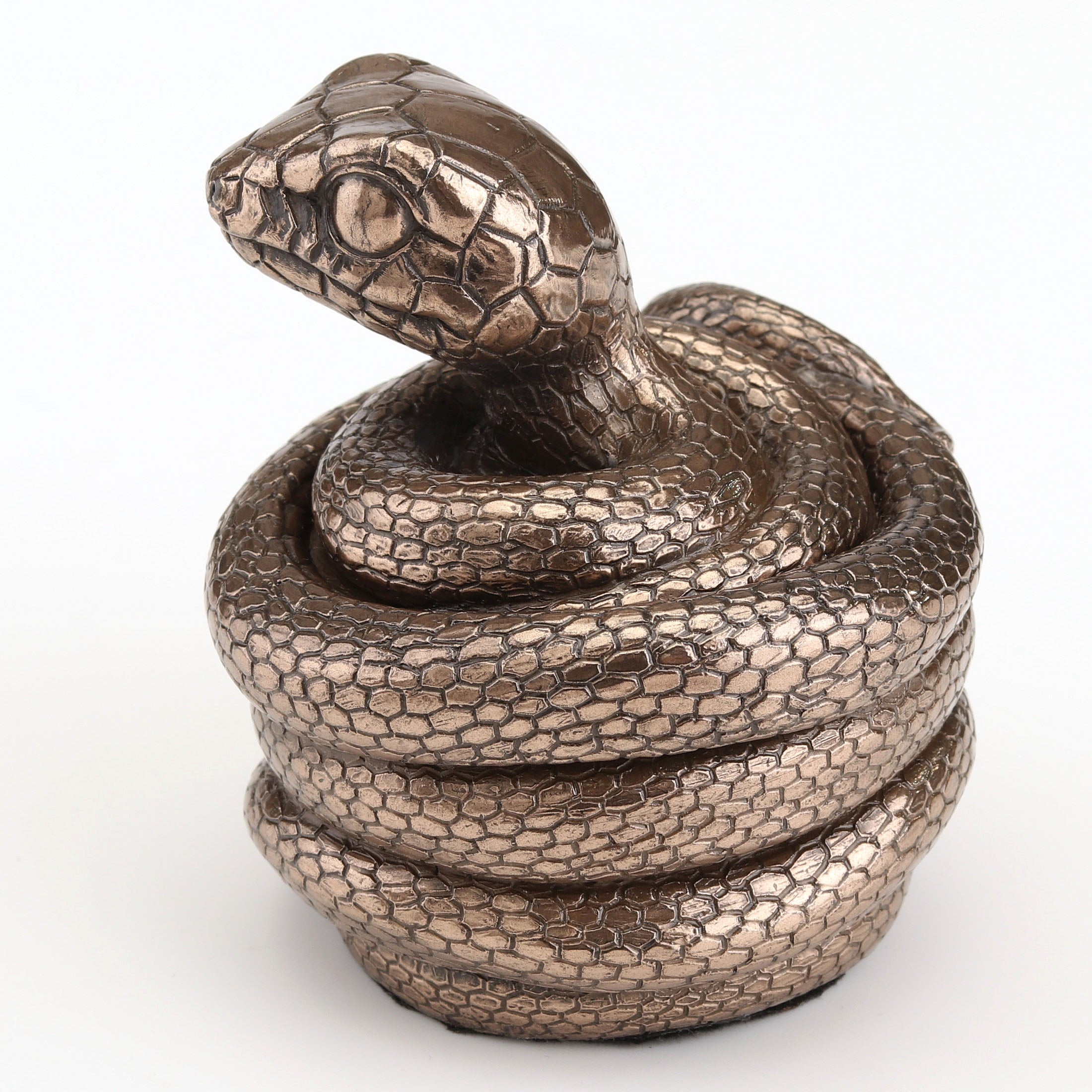 Coiling Snake Secret Trinket Stash
